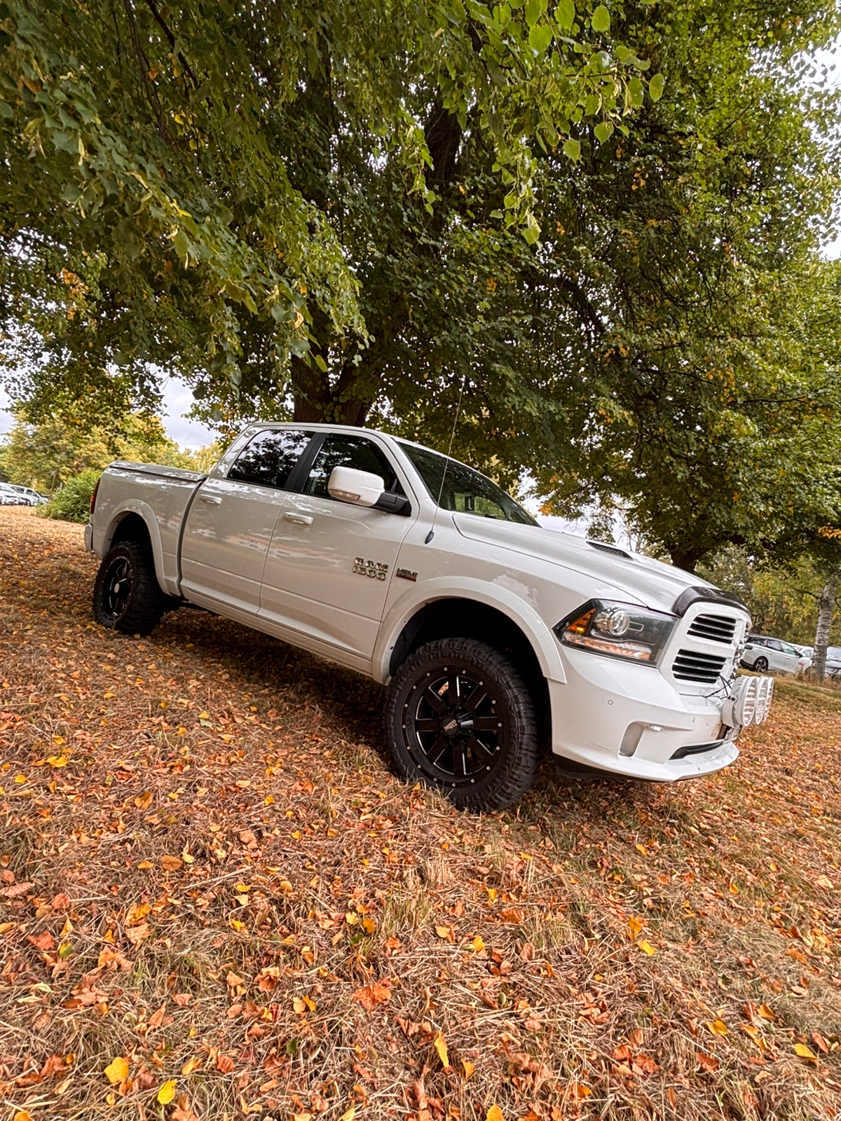 RAM 1500 2014, bild 7/10