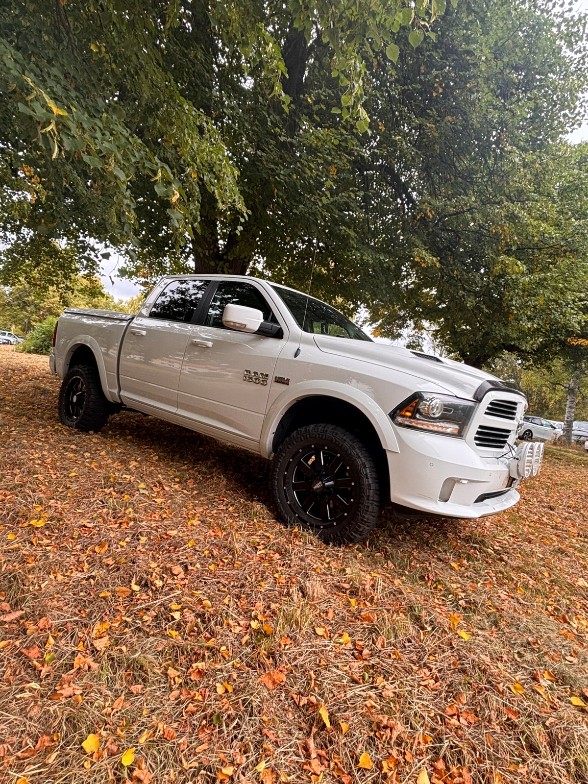 RAM 1500 2014, bild 3/10