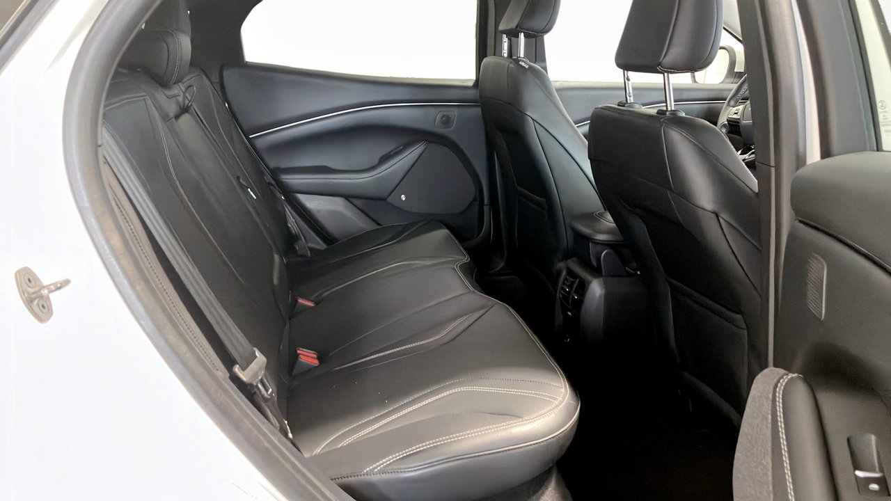 Ford Mustang Mach-E 2021, bild 5/13