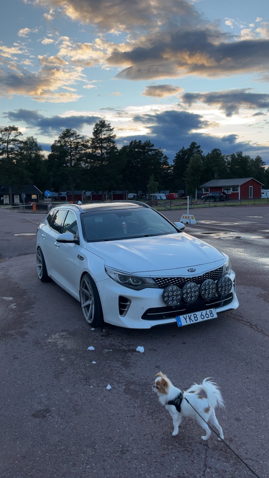 Kia Optima Sport Wagon 1.7 VGT DCT 2017, bild 6/6