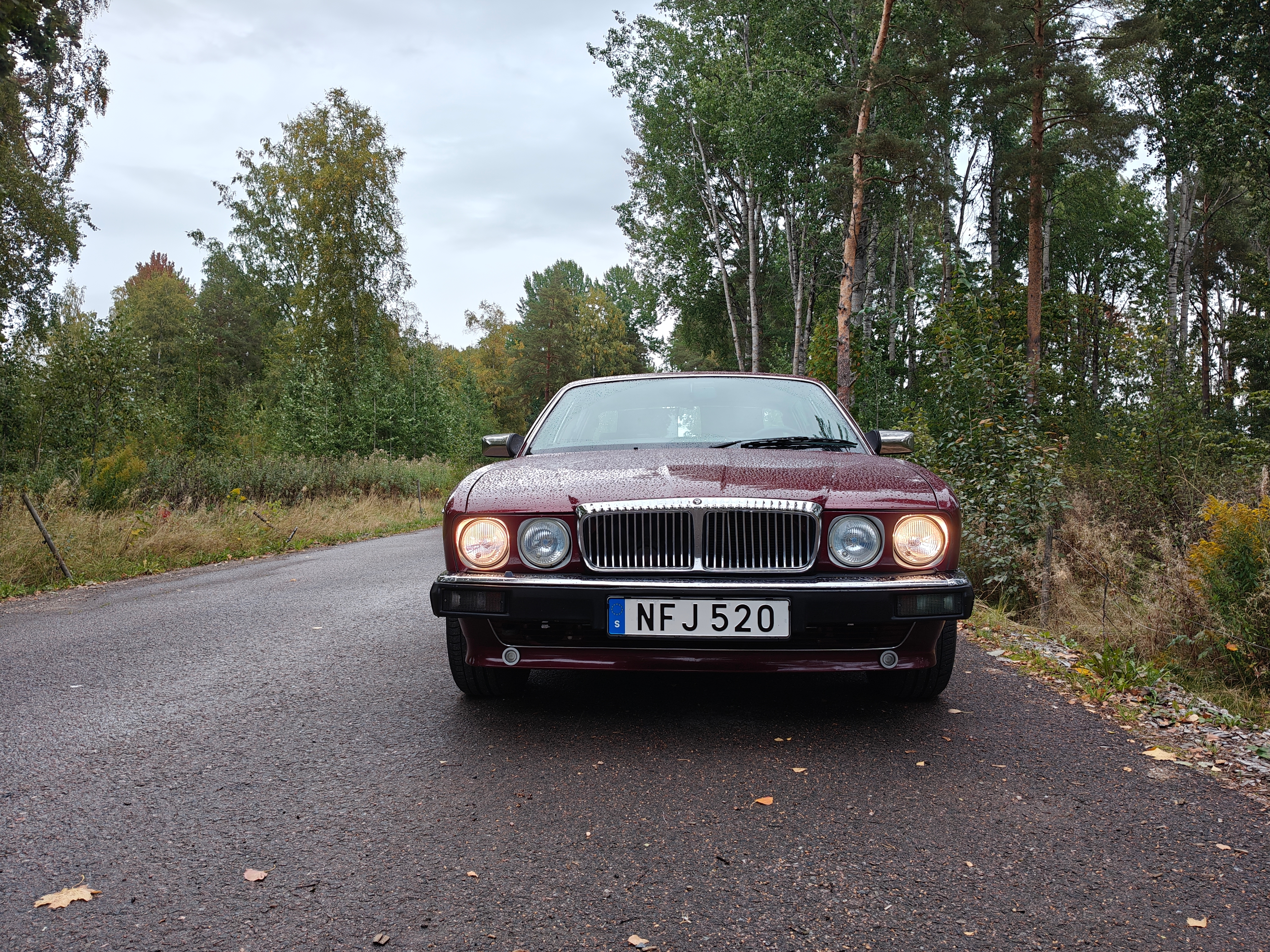 Jaguar Daimler XJ40 Sovereign 3.6 1988, bild 4/10
