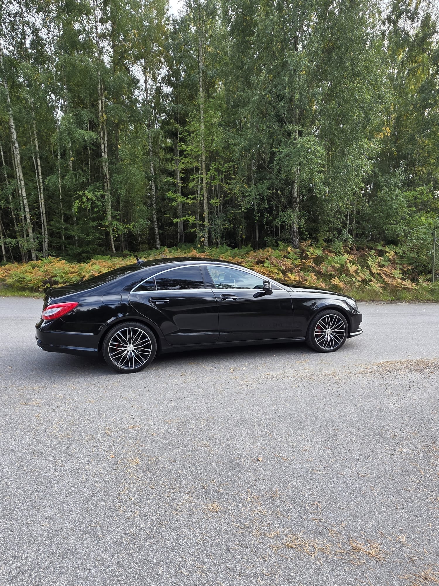 Mercedes-Benz CLS 2013, bild 5/9
