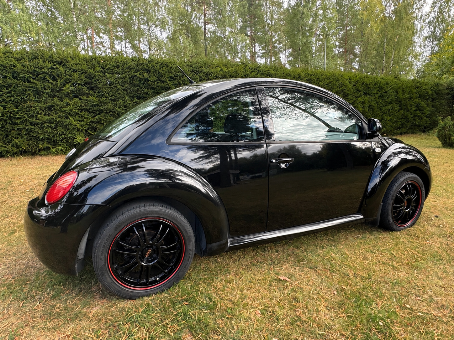 Volkswagen New Beetle
