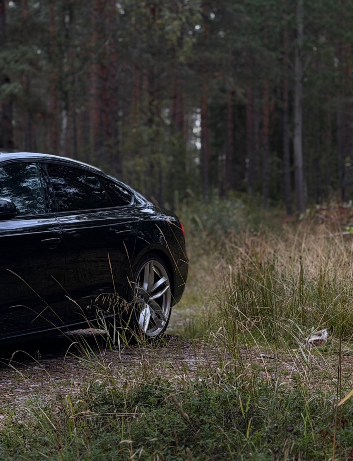 Audi A5 2015, bild 3/10