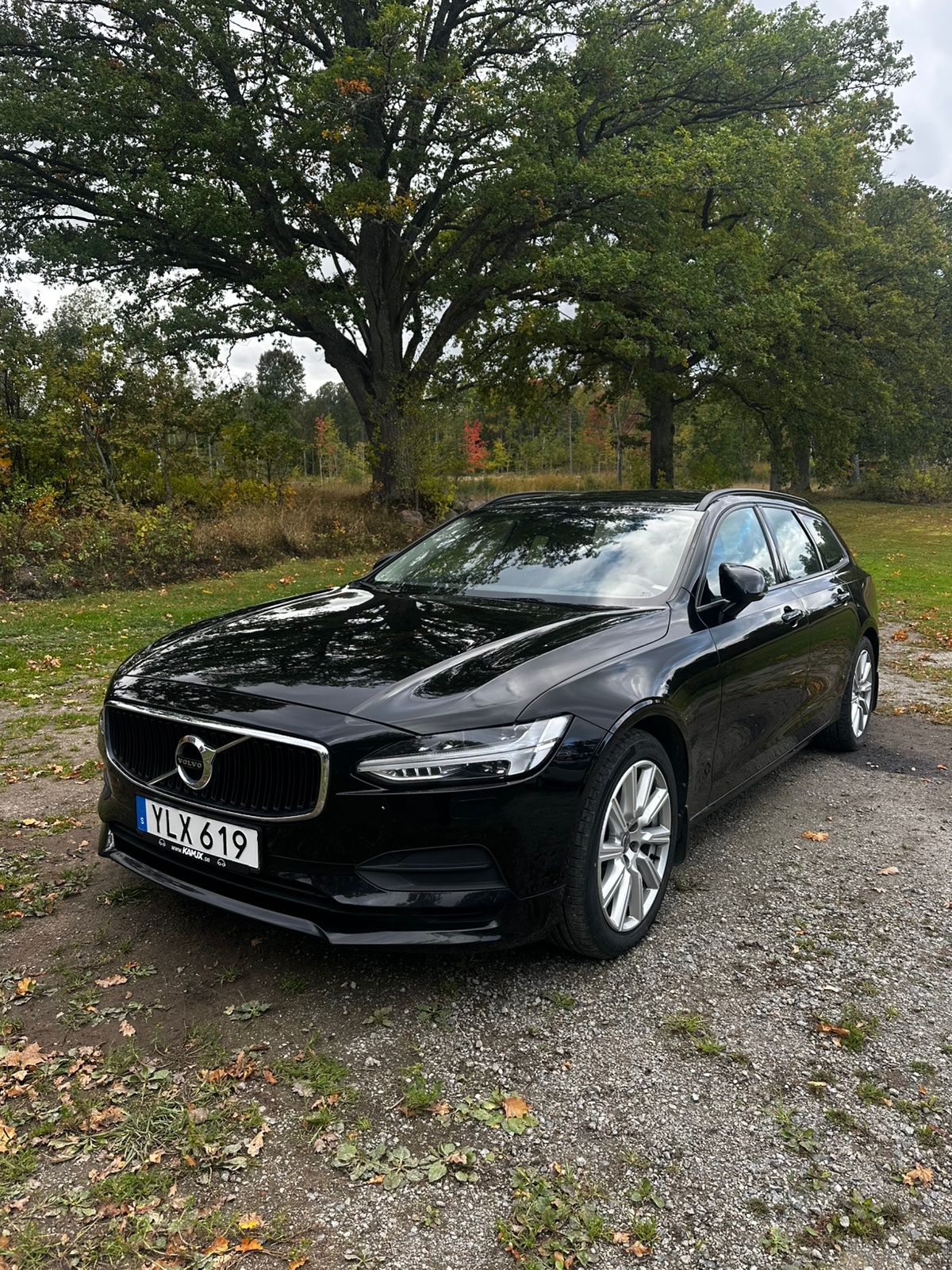 Volvo V90 D4 Geartronic 2018, bild 3/11