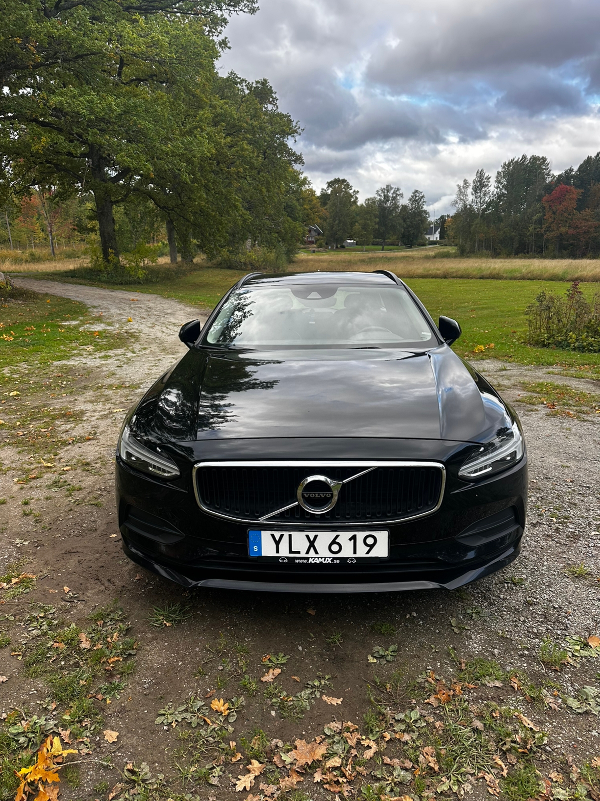 Volvo V90 D4 Geartronic 2018, bild 2/11