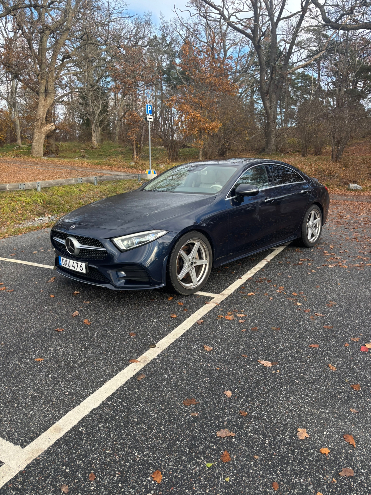 Mercedes-Benz CLS 400 d 4MATIC 9G-Tronic 2019, bild 4/10