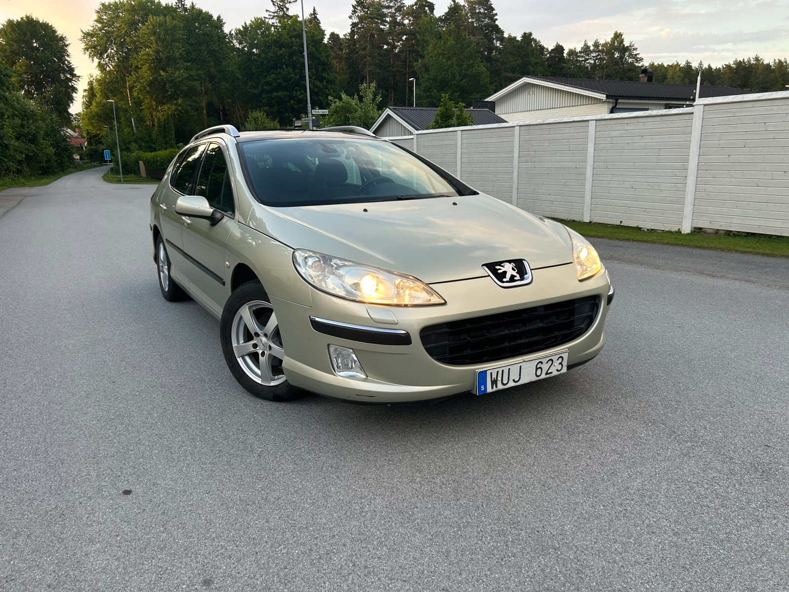 Peugeot 407