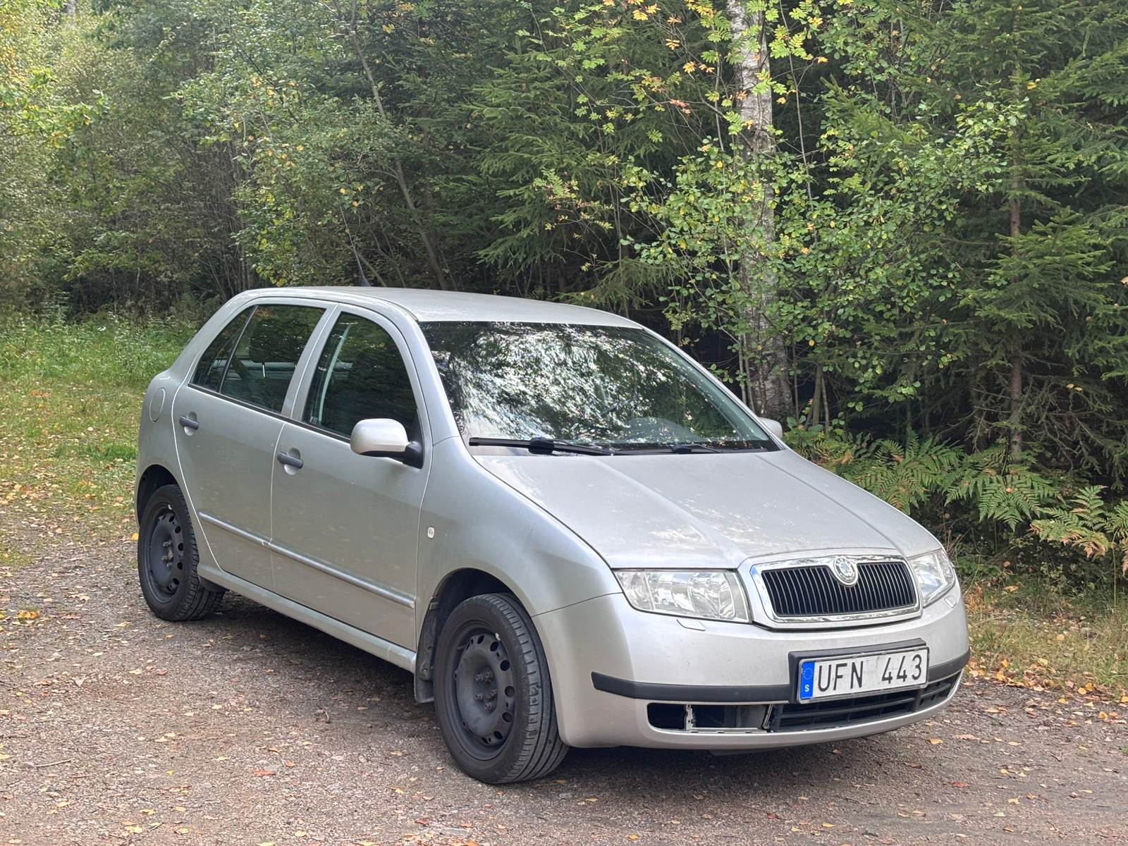 Skoda Fabia 1.4 Manuell 2003, bild 2/7