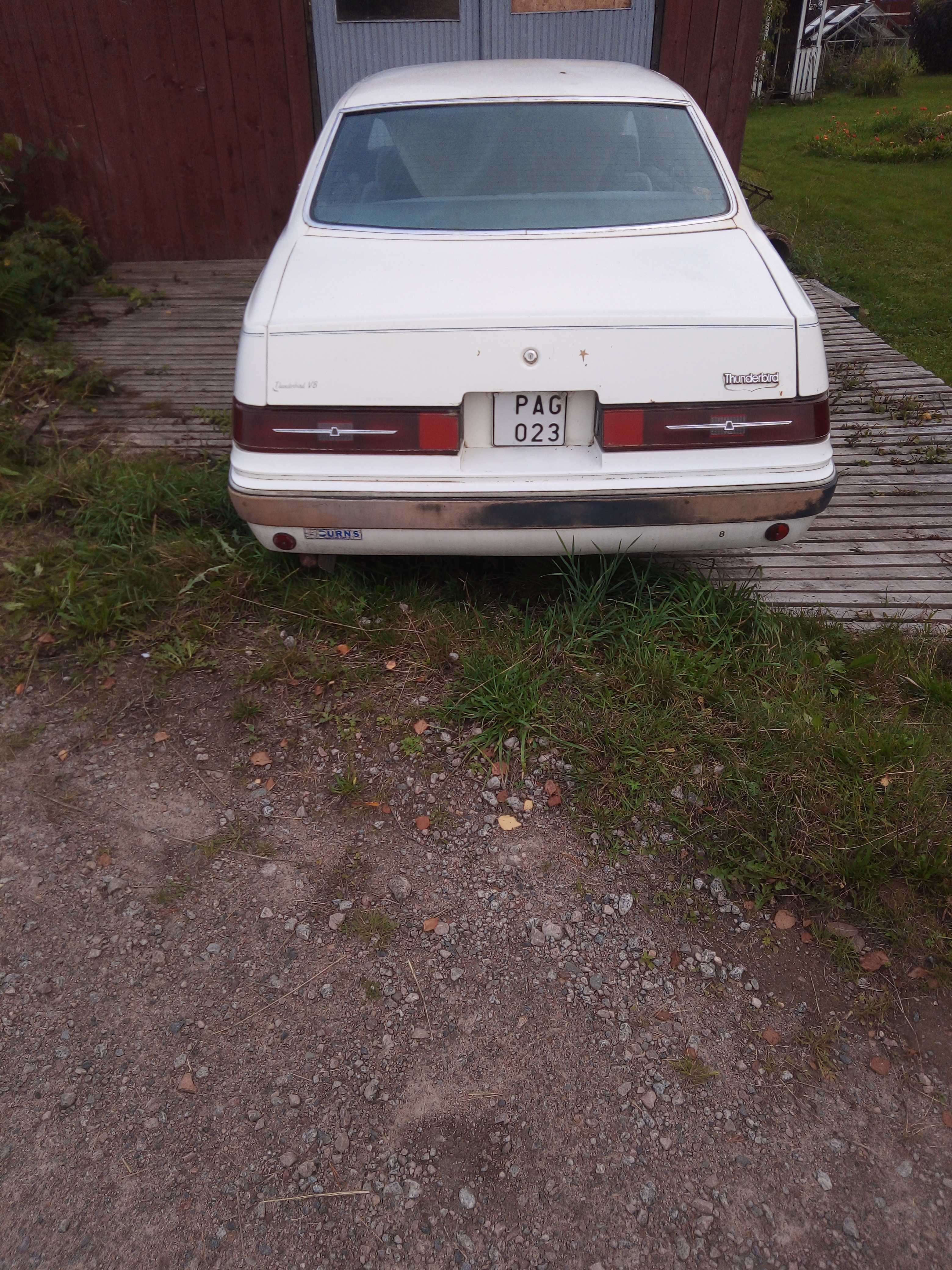 Ford Thunderbird 5.0 V8 EFI Automatisk 1983, bild 3/5