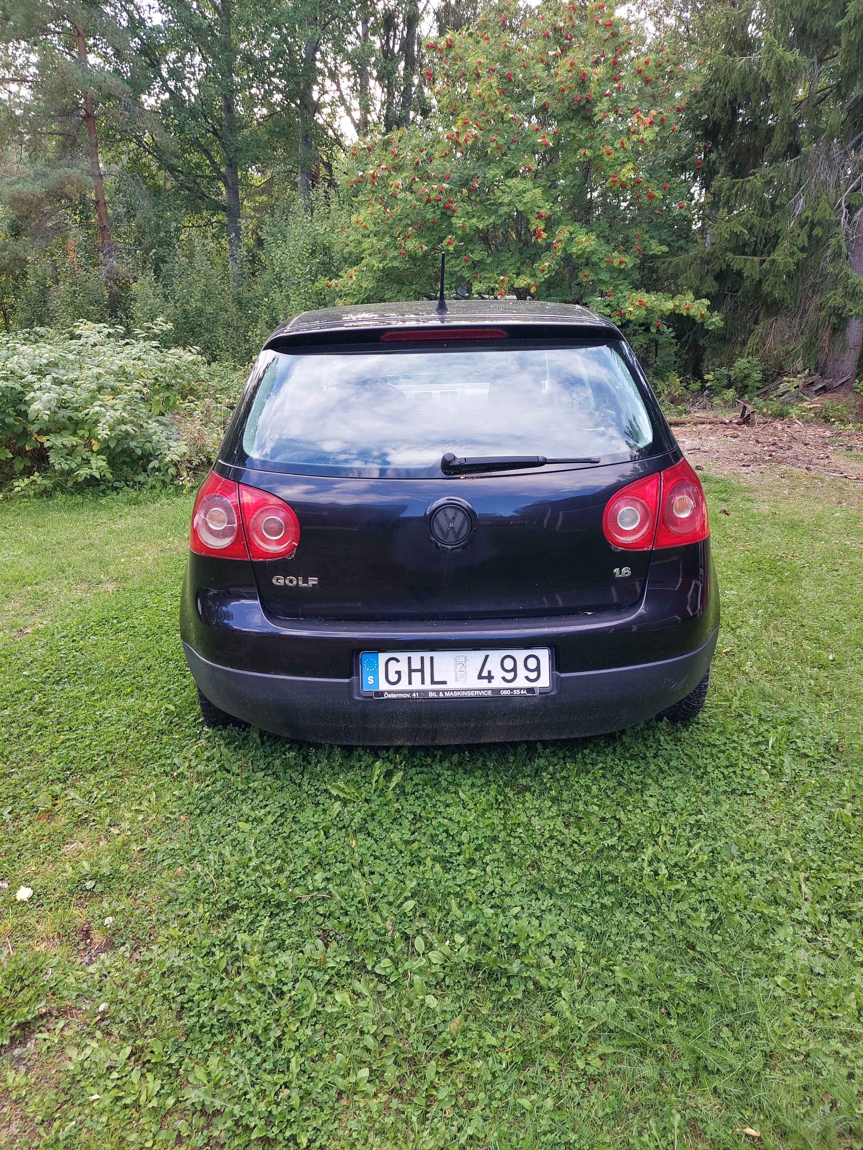 Volkswagen Golf V 5-dörrar 1.6 Manuell 2008, bild 7/8