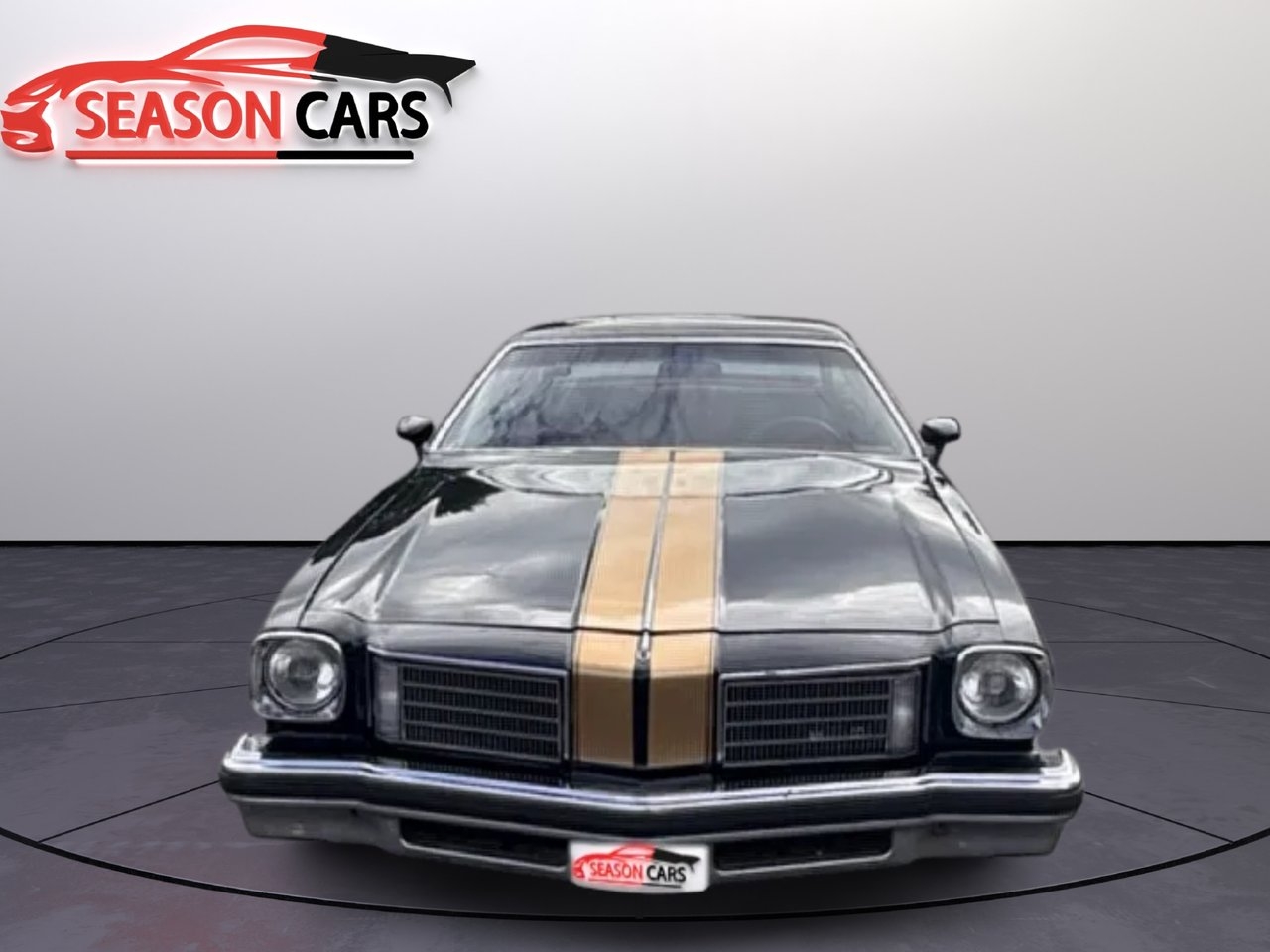 Oldsmobile Cutlass 1975, photo 4/9