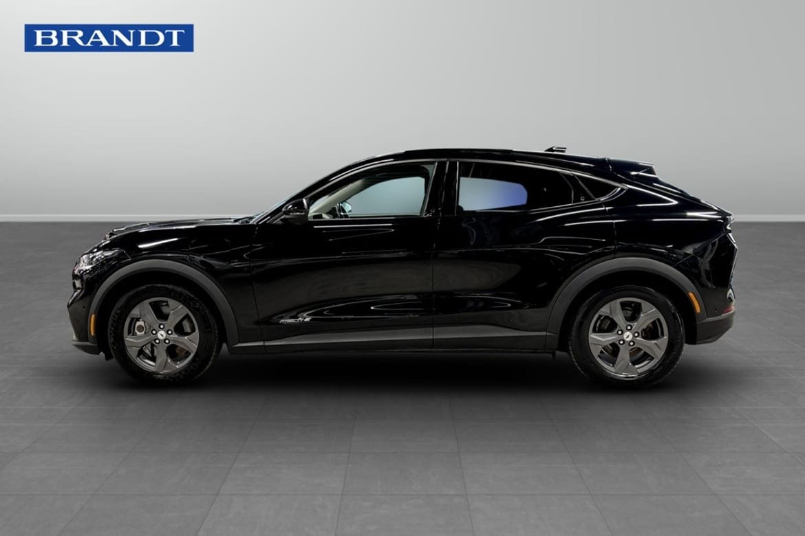 Ford Mustang Mach-E STAND 2021, bild 3/9