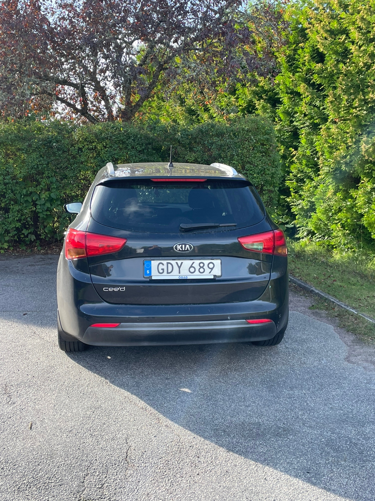 Kia Ceed _sw 1.6 GDI Manuell 2014, bild 5/9