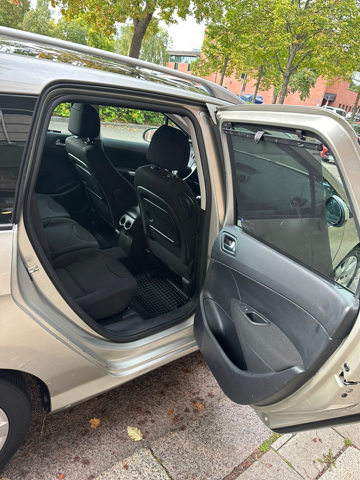 Peugeot 308 SW 2.0 Bioflex Manuell 2009, bild 7/10