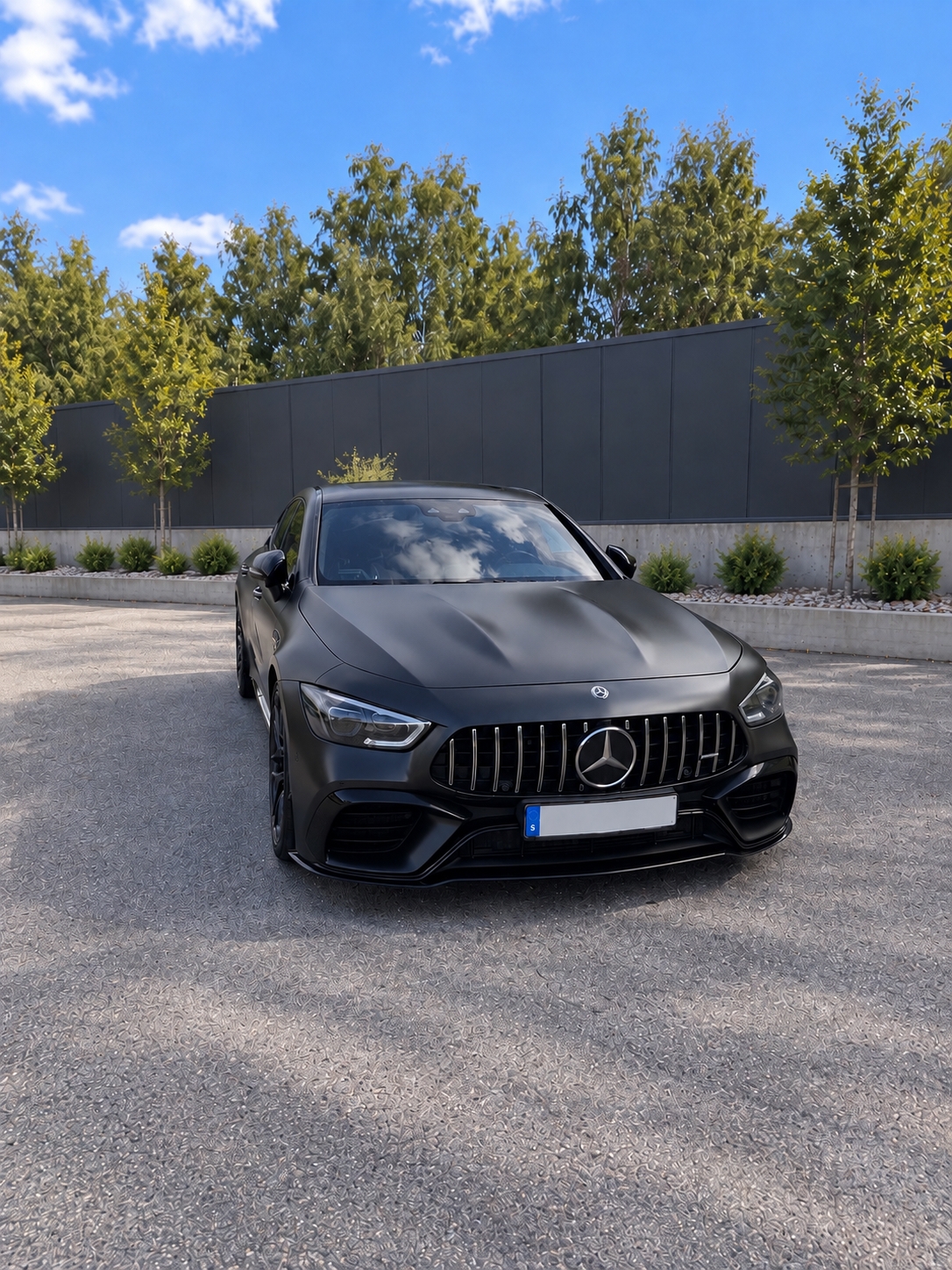 Mercedes-Benz AMG GT 2019, bild 3/10