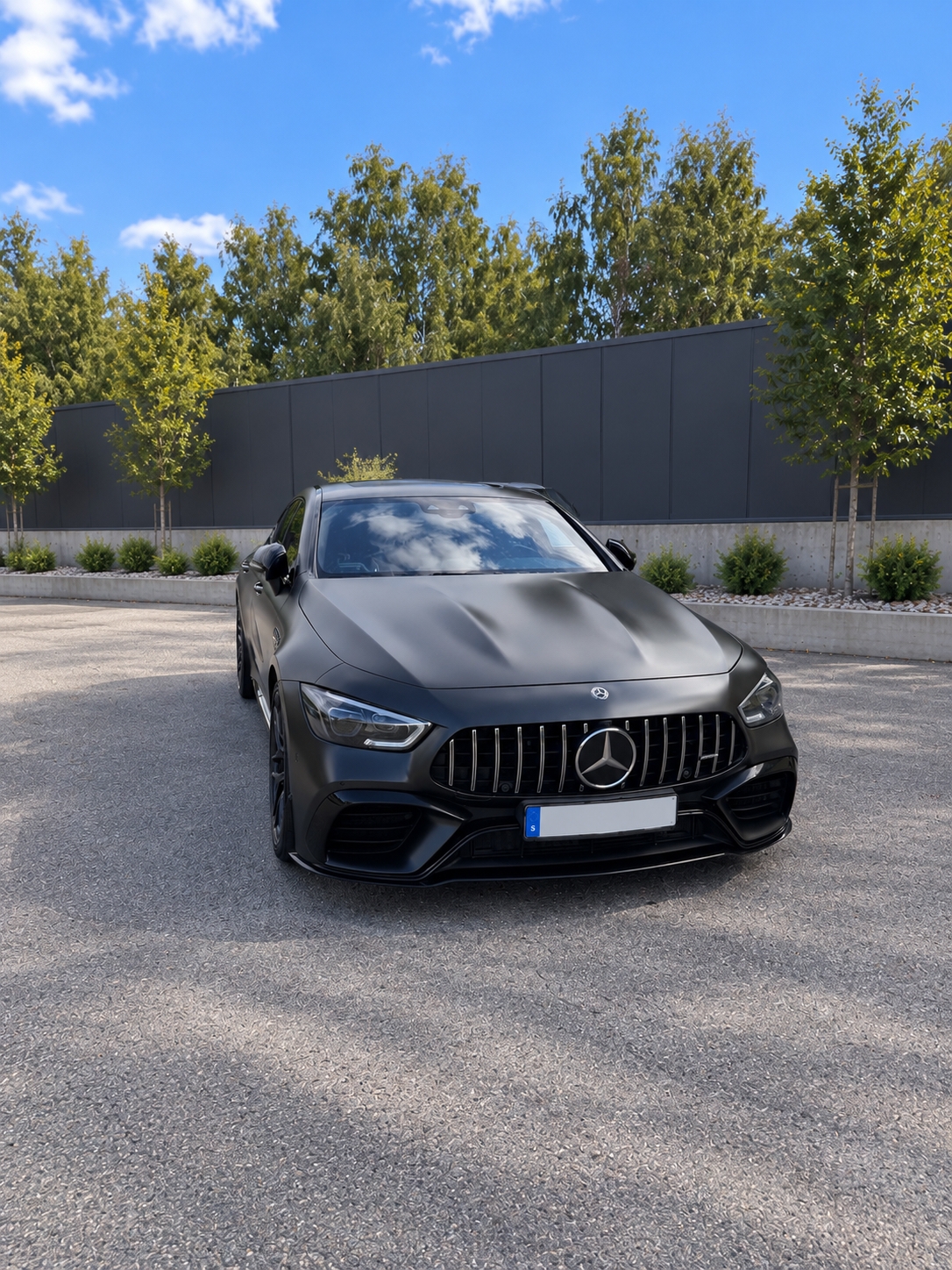 Mercedes-Benz AMG GT 2019, bild 5/10