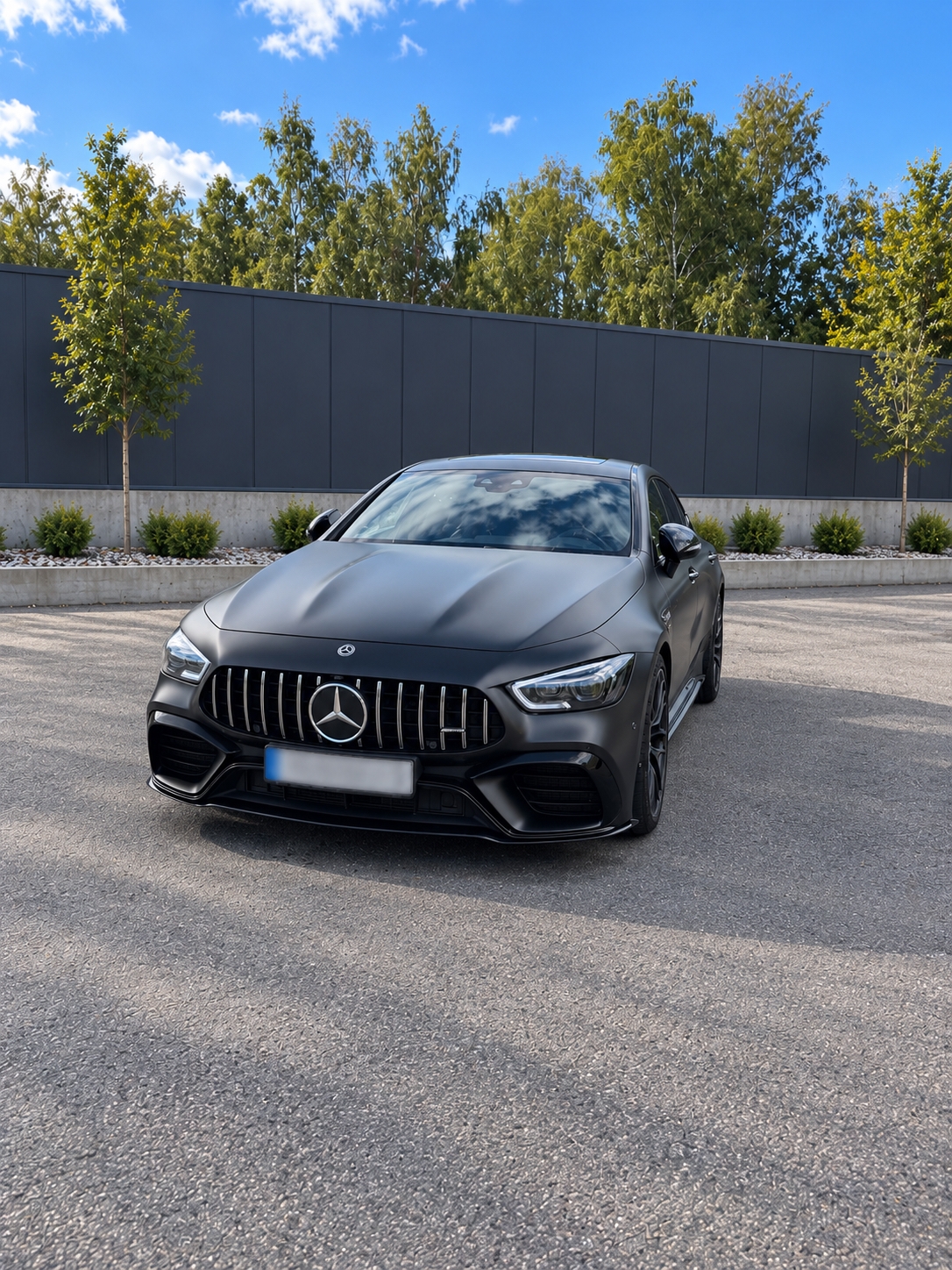 Mercedes-Benz AMG GT 2019, bild 7/10