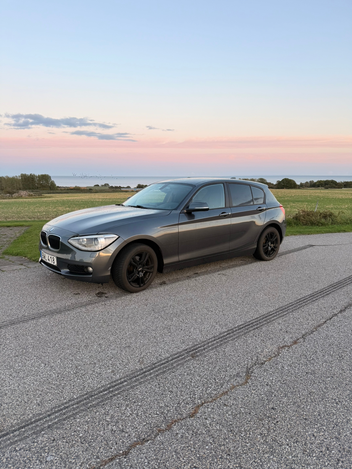 BMW 116 i 5-dörrars Manuell 2014, bild 3/10