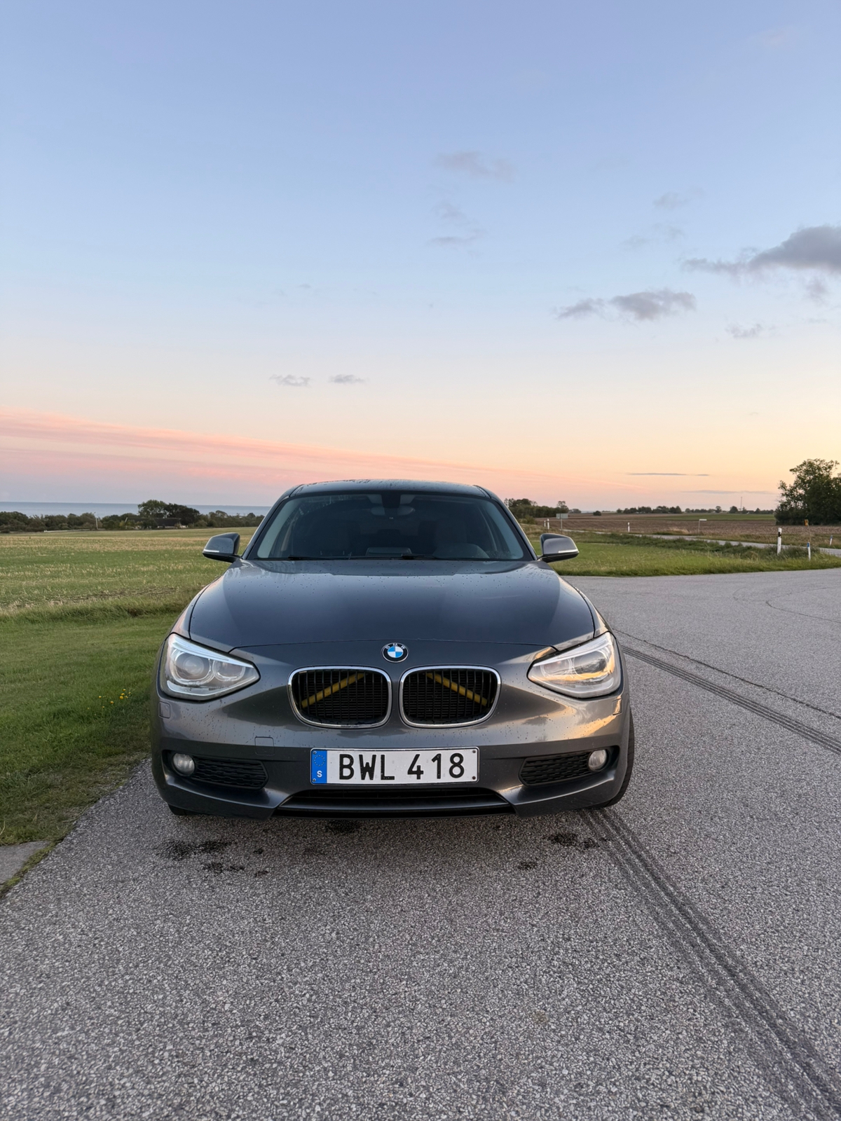 BMW 116 i 5-dörrars Manuell 2014, bild 4/10