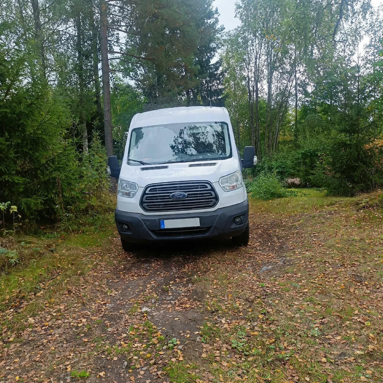 Ford Transit 350 2.0 TDCi Manuell 2017, kuva 3/10