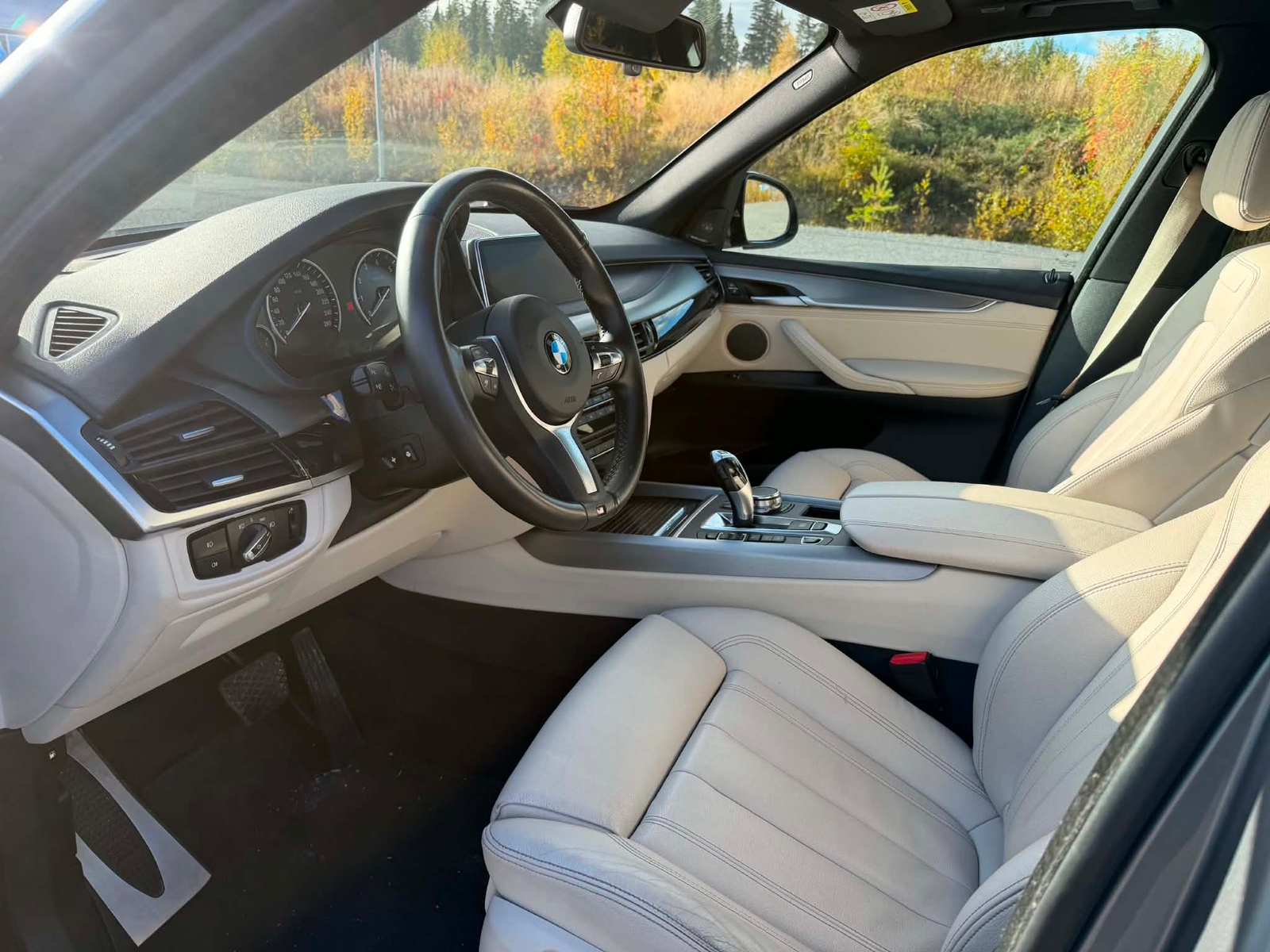 BMW X5 xDrive40e Steptronic 2018, bild 6/9