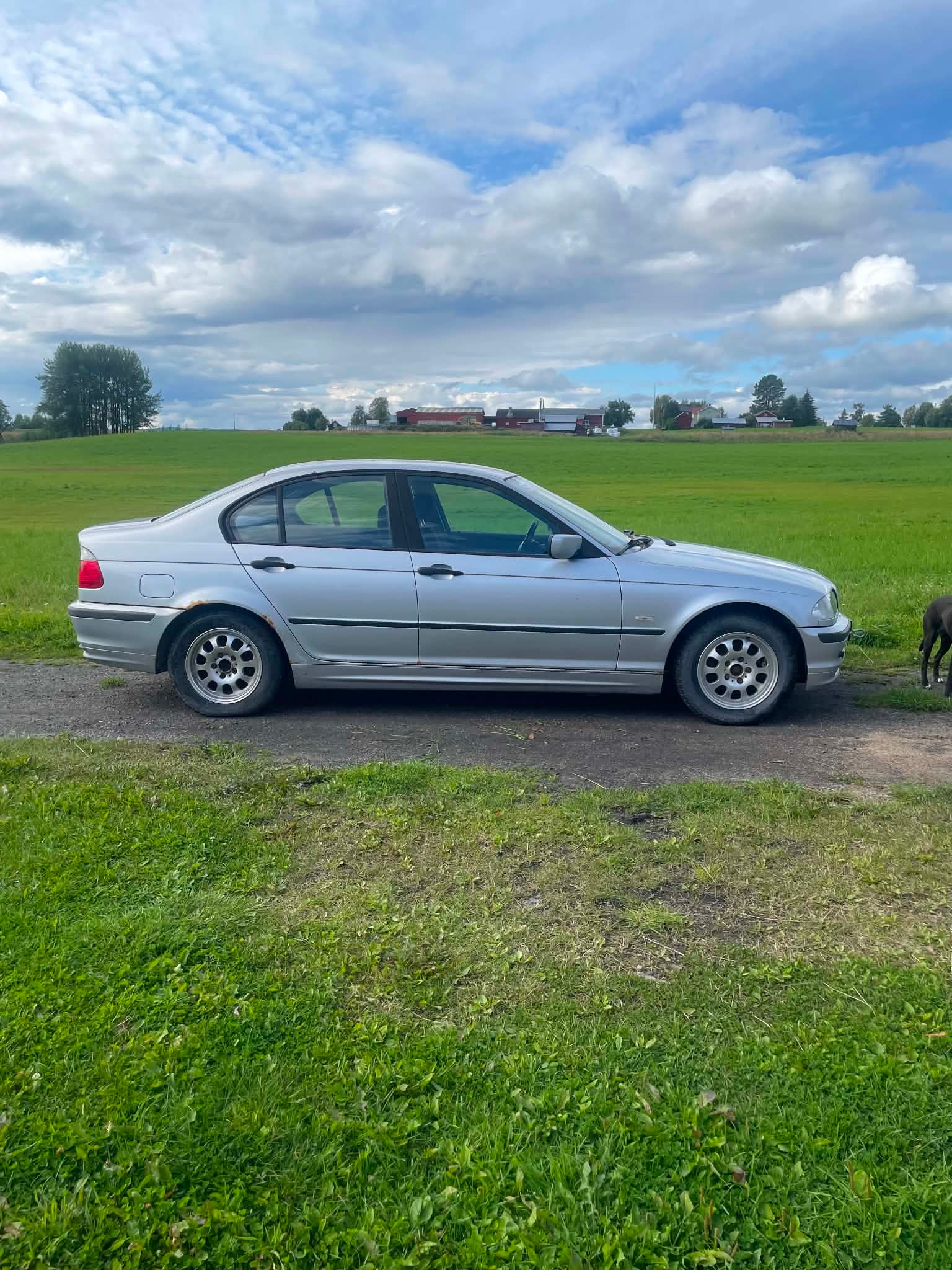 BMW 318