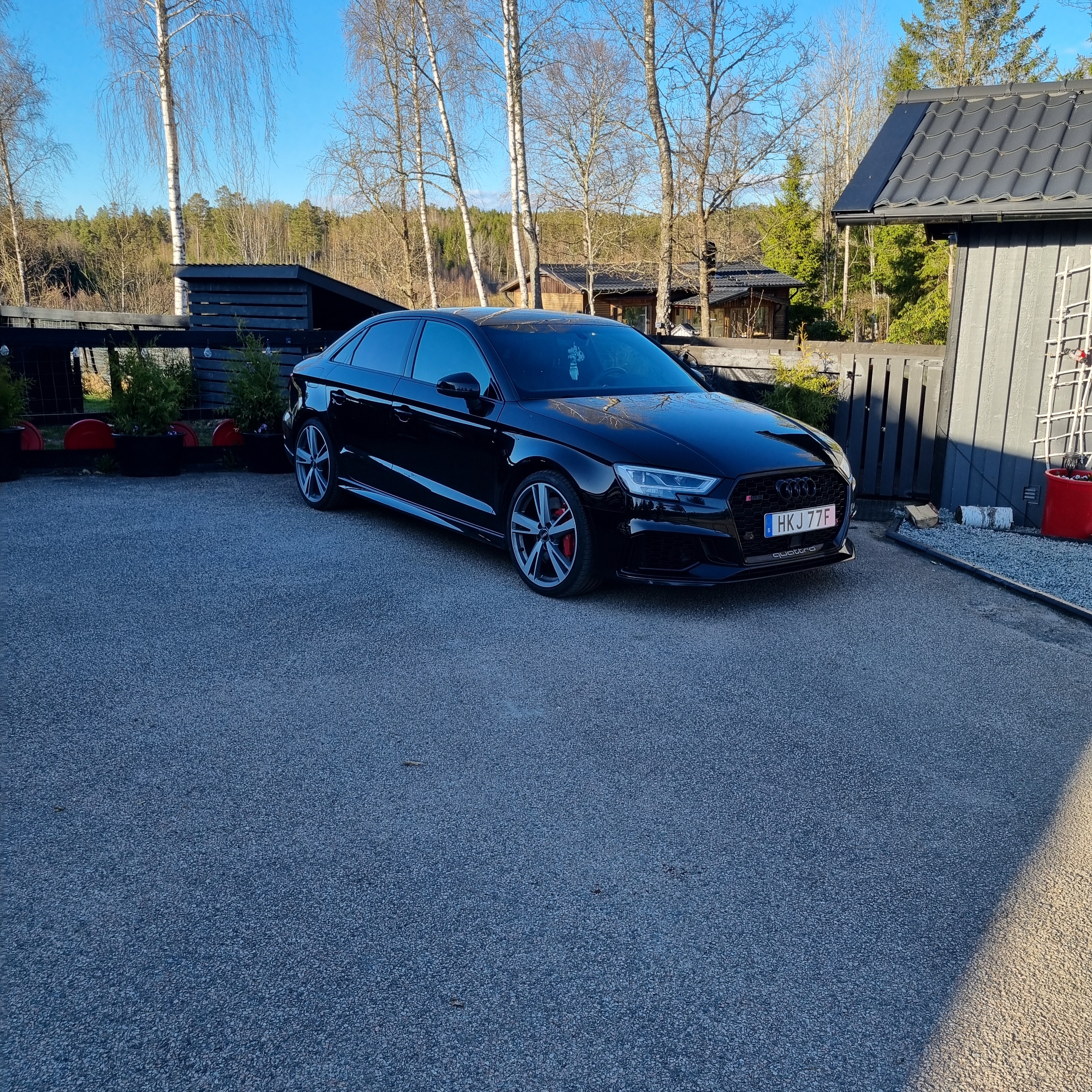 Audi RS3 Sedan S Tronic 2020, bild 2/4