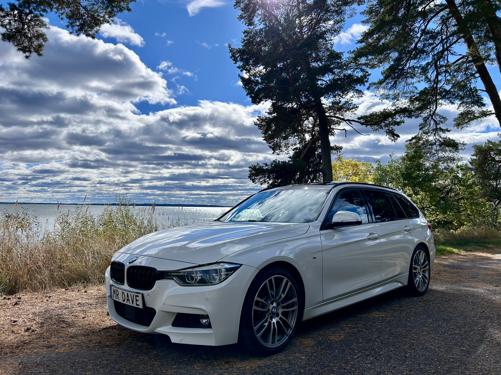 BMW 330 2017, bild 2/39