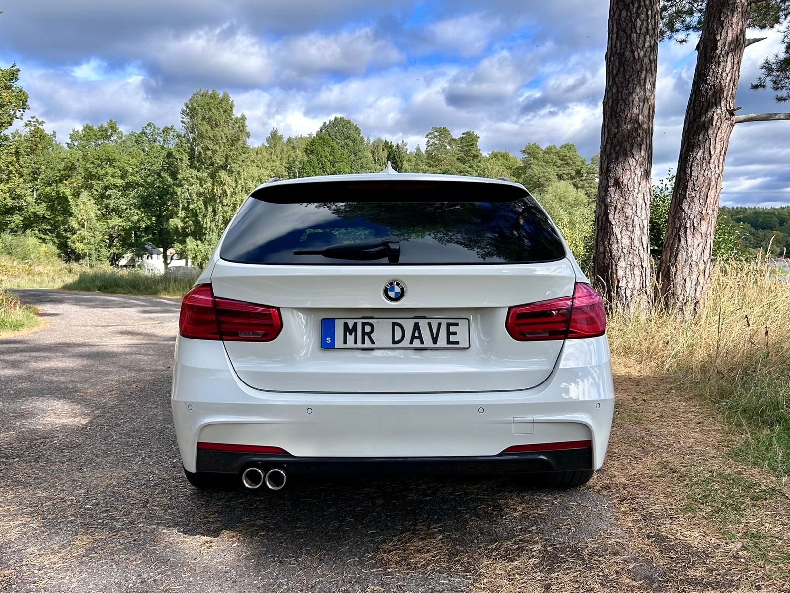 BMW 330 2017, bild 6/39