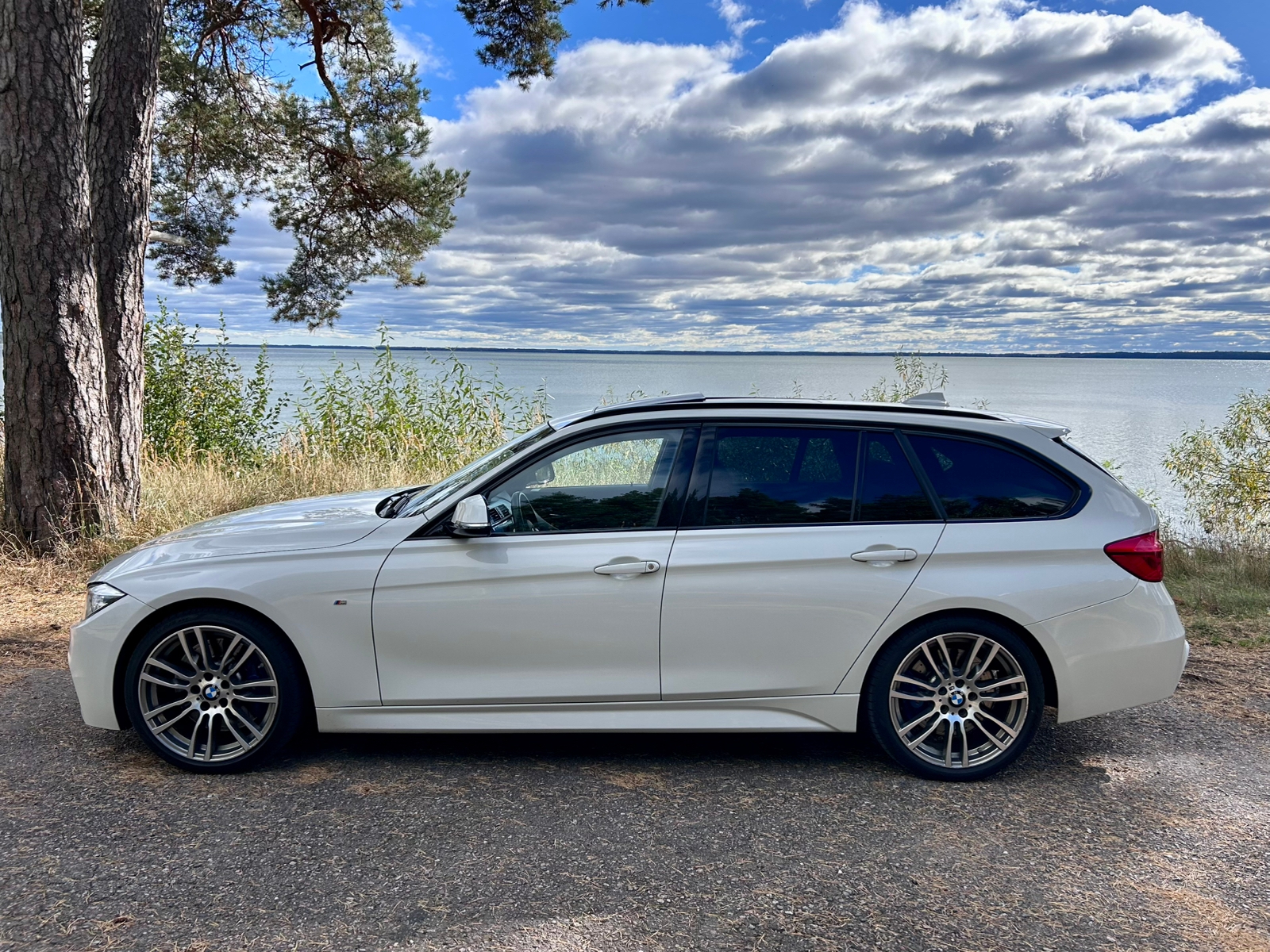 BMW 330 2017, bild 3/39