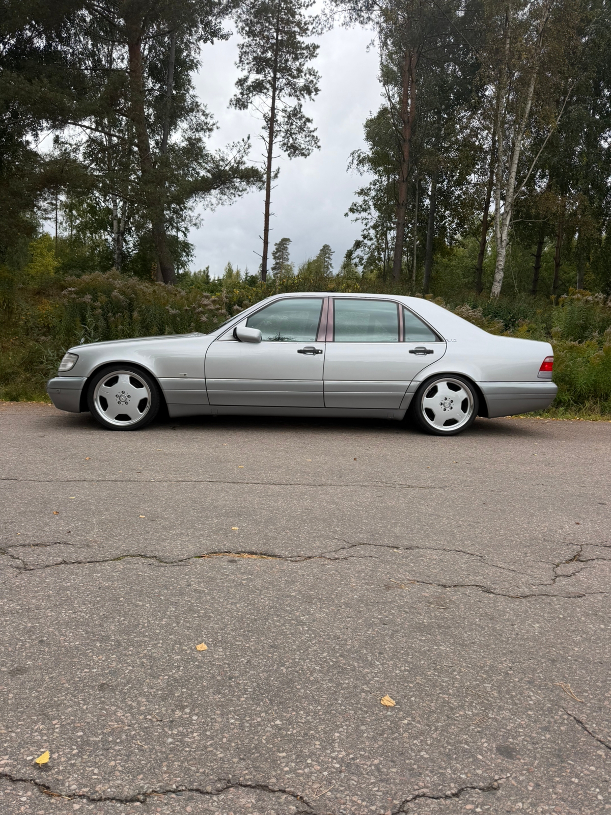 Mercedes-Benz S 600 L Automatisk 1995, kuva 6/10