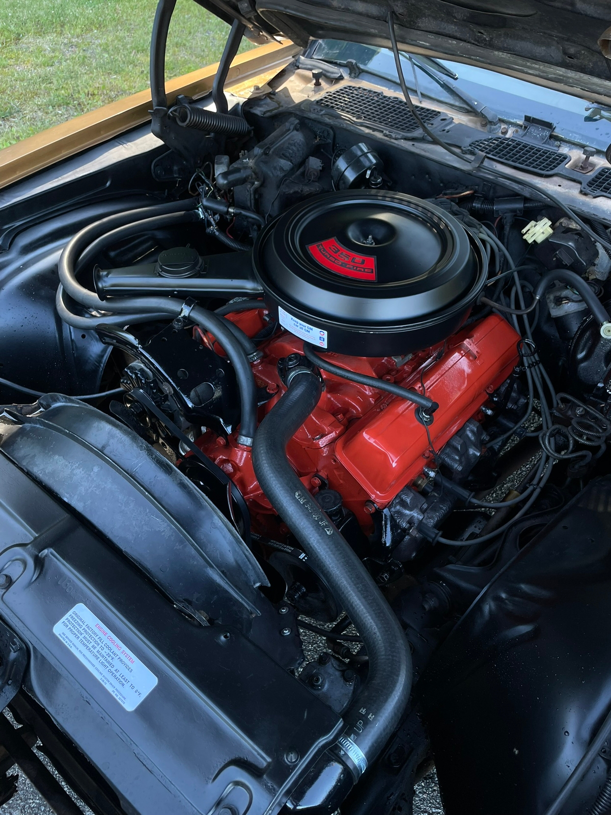 Chevrolet Camaro LT 1975, bild 7/8