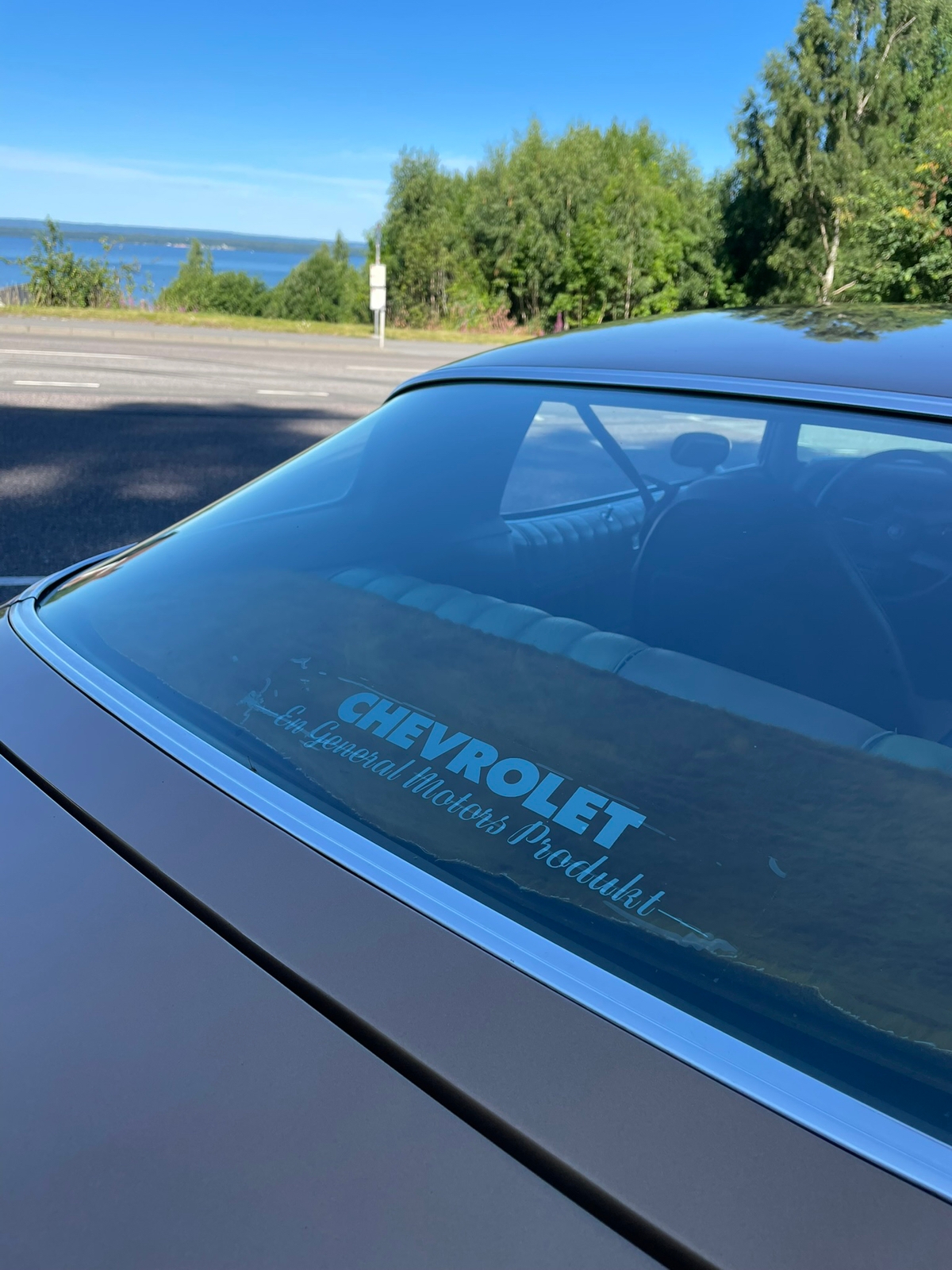 Chevrolet Camaro LT 1975, bild 8/8