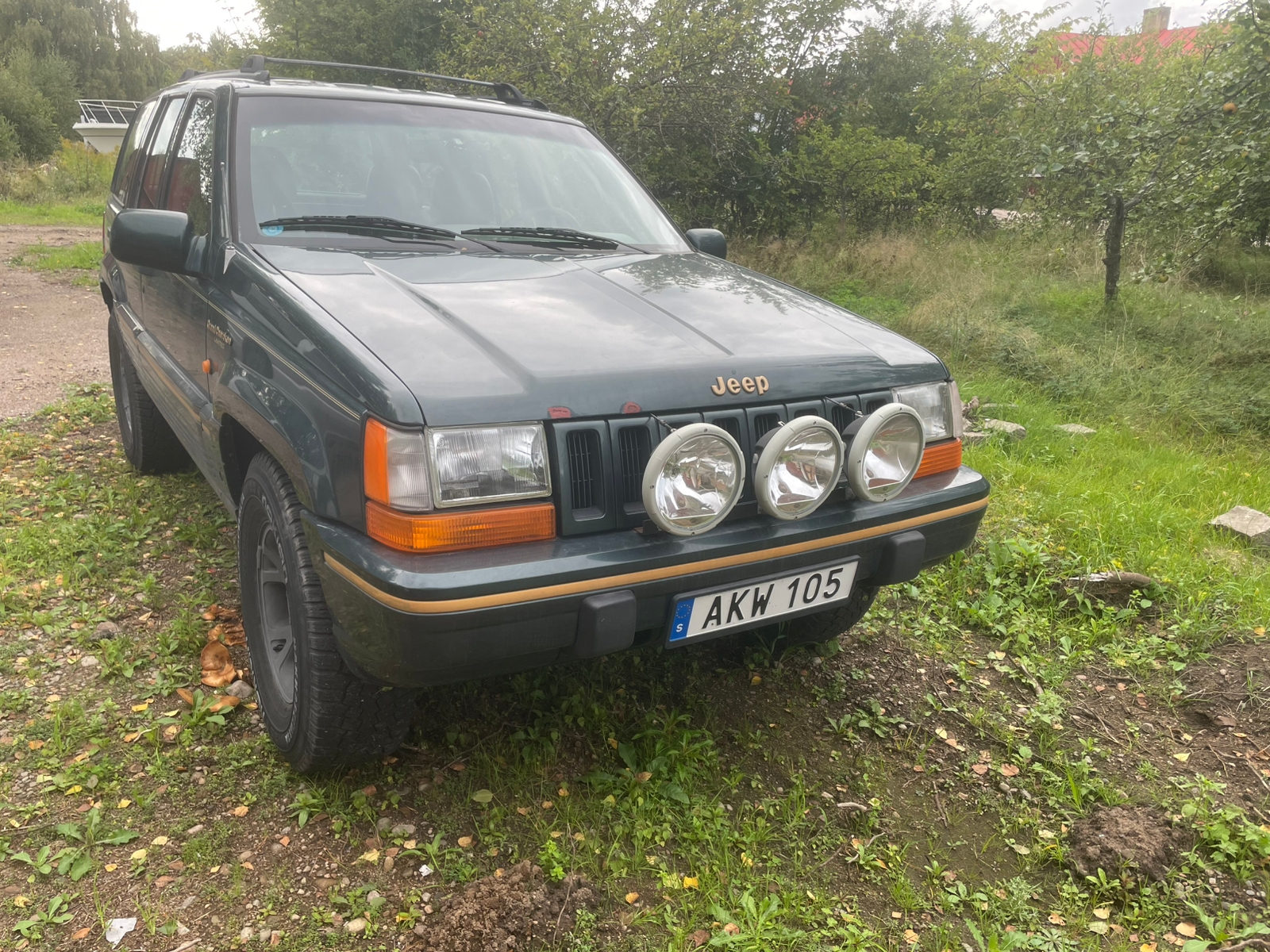 Jeep Grand Cherokee 4.0 4WD Automatisk 1994, kuva 3/6