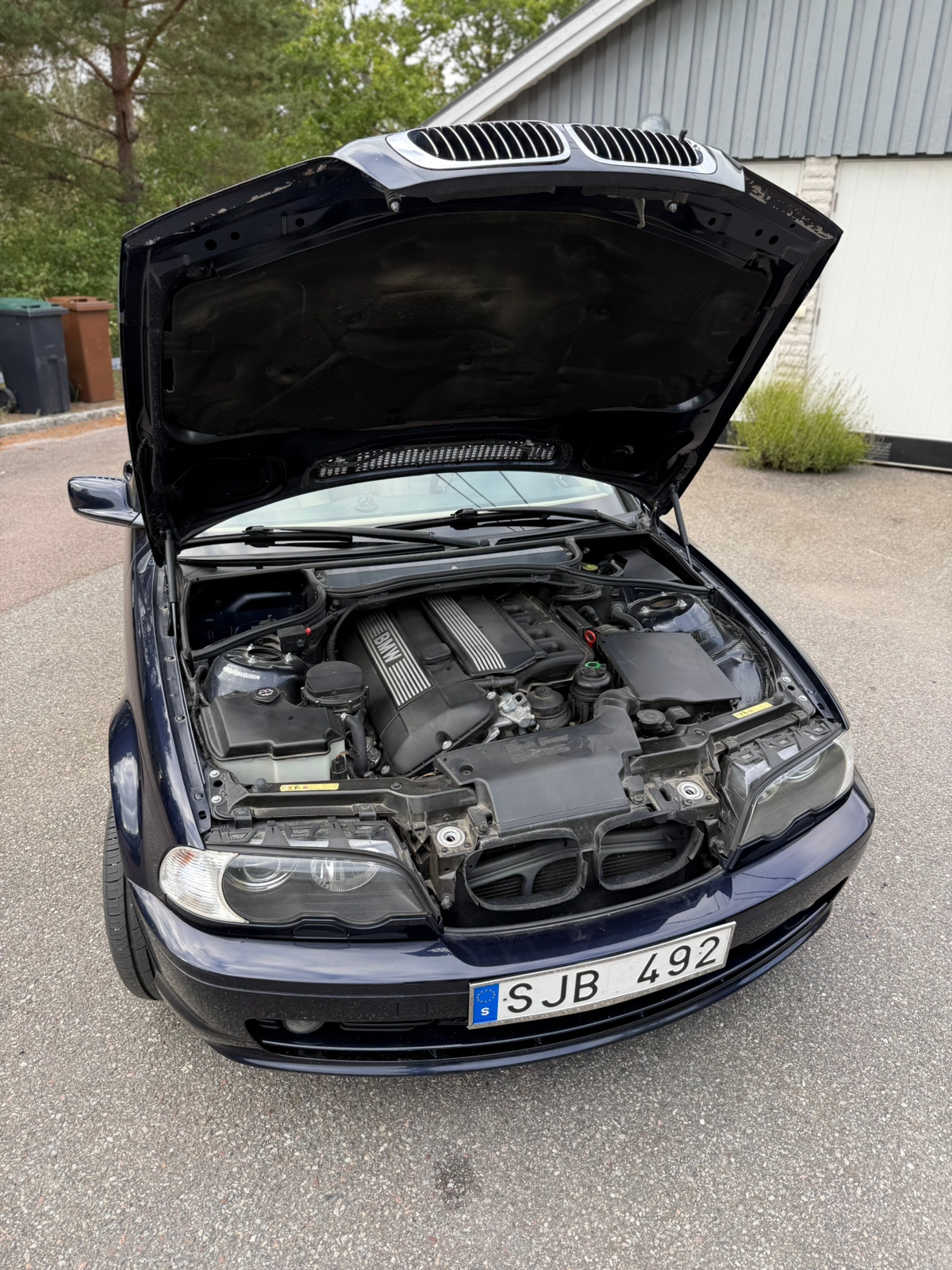 BMW 320 Ci Convertible Manuell 2001, bild 6/8