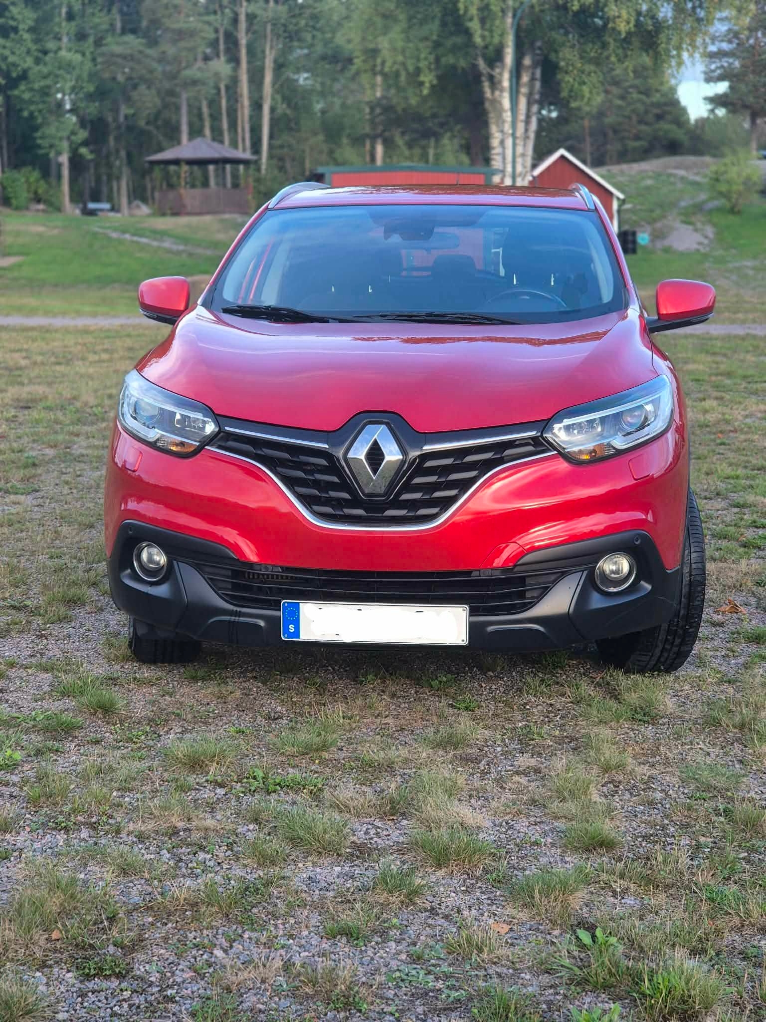 Renault Kadjar 2016, photo 2/10