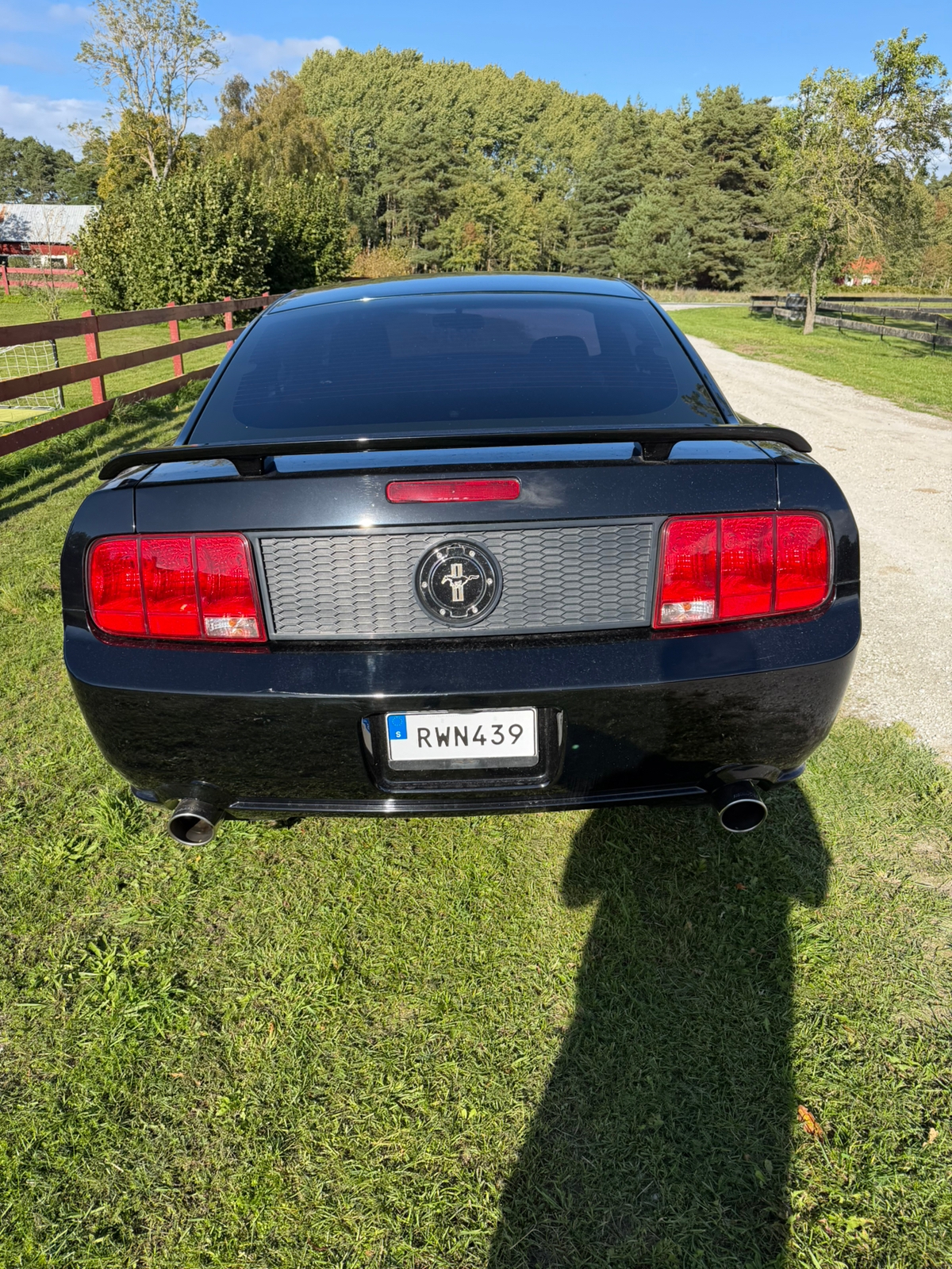 Ford Mustang GT Automatisk 2006, bild 2/4