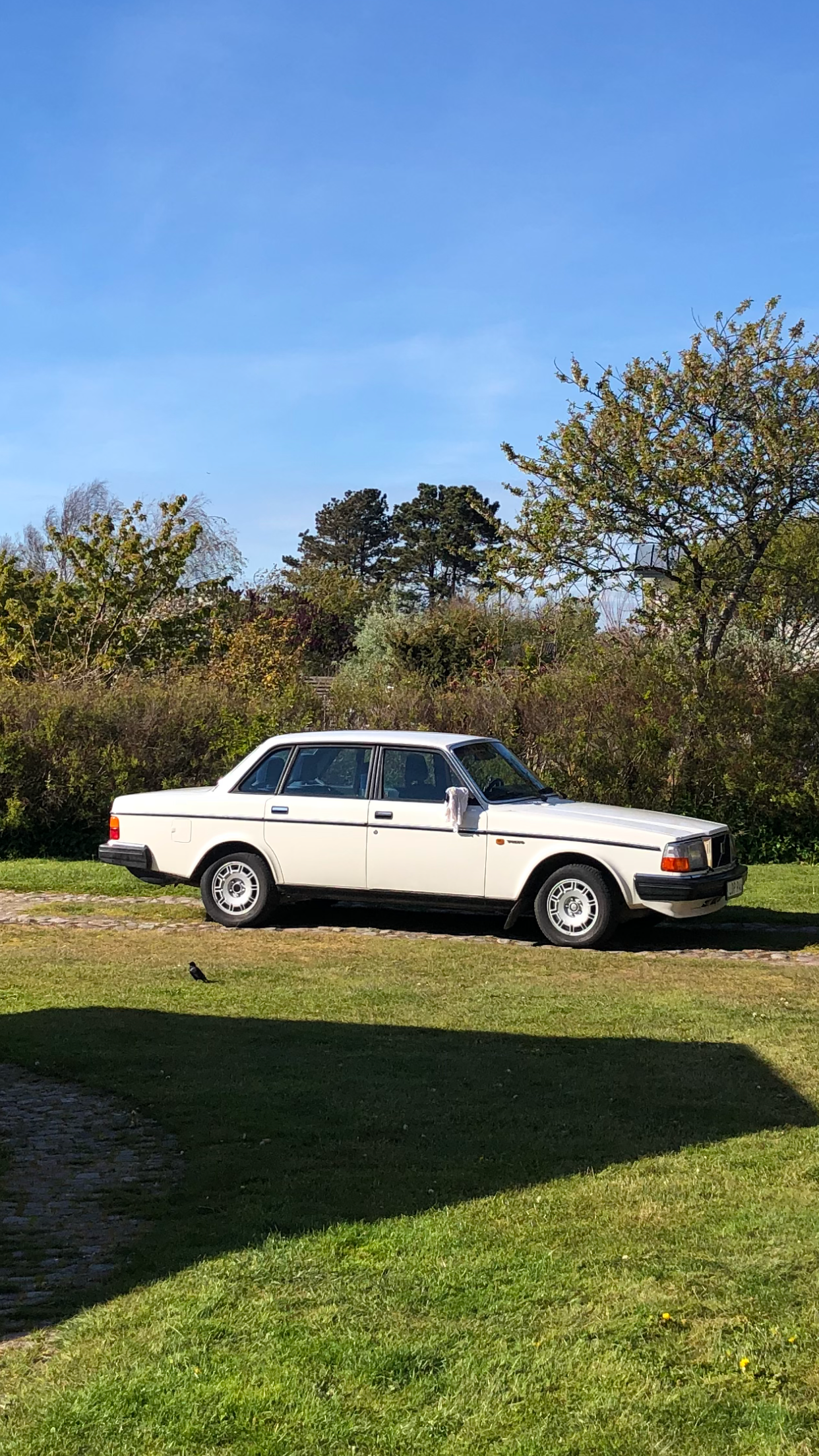 Volvo 240 4-door 2.3 Automatisk 1985, bild 2/10