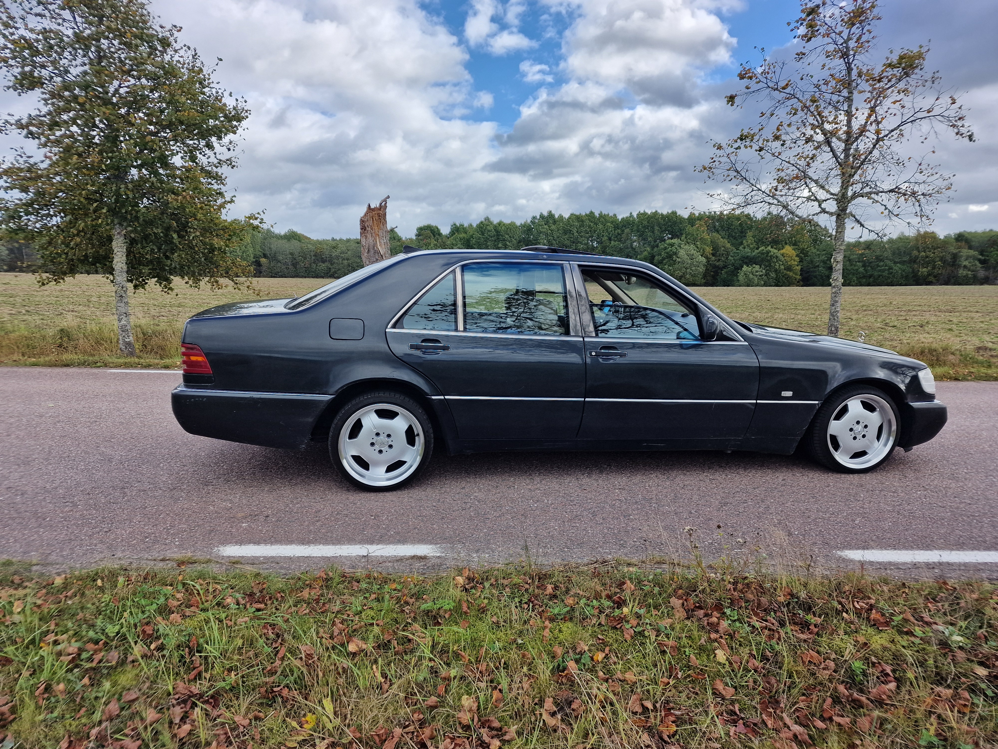 Mercedes-Benz S 600 L Automatisk 1994, bild 6/10