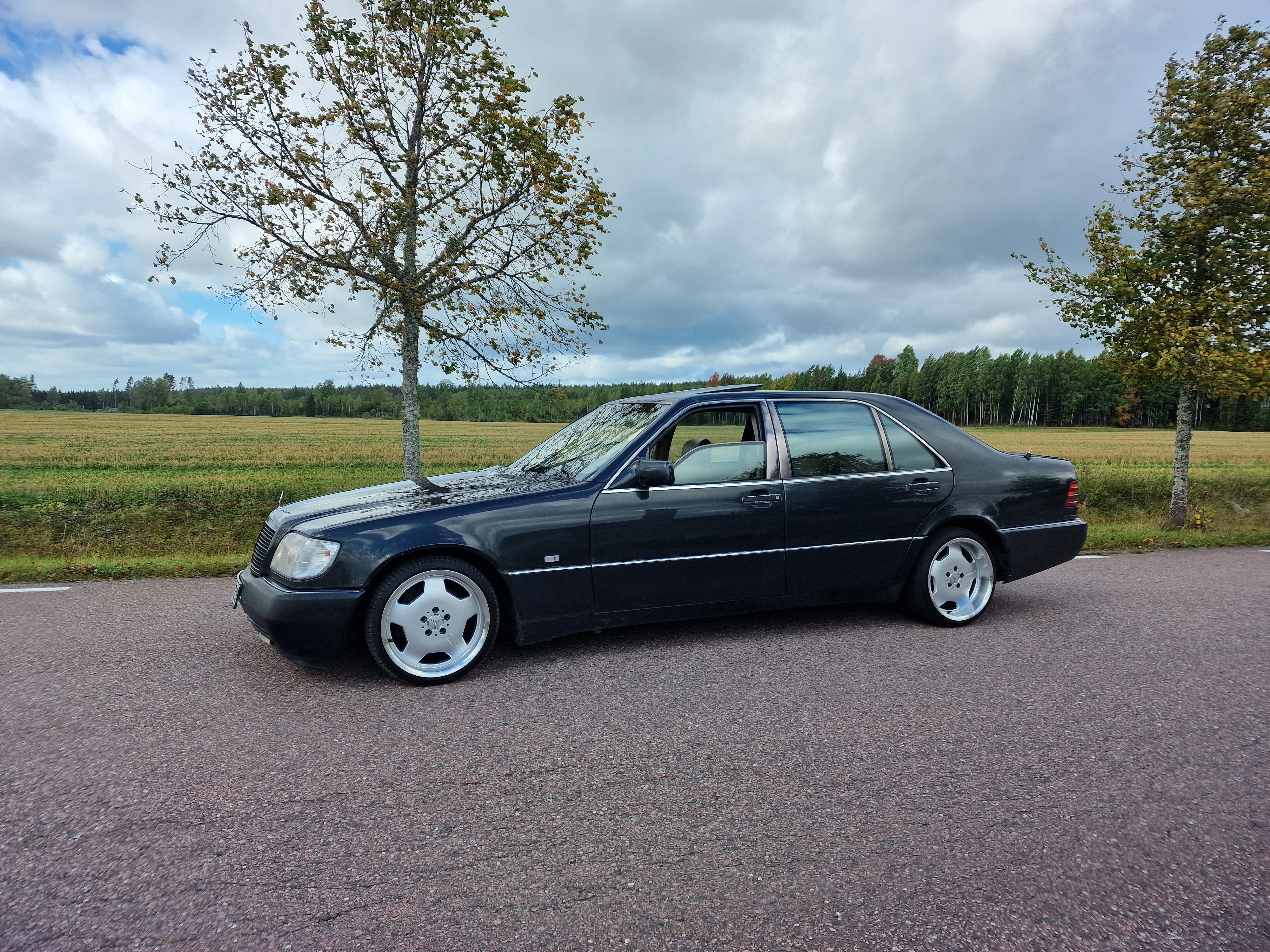 Mercedes-Benz S 600 L Automatisk 1994, bild 2/10