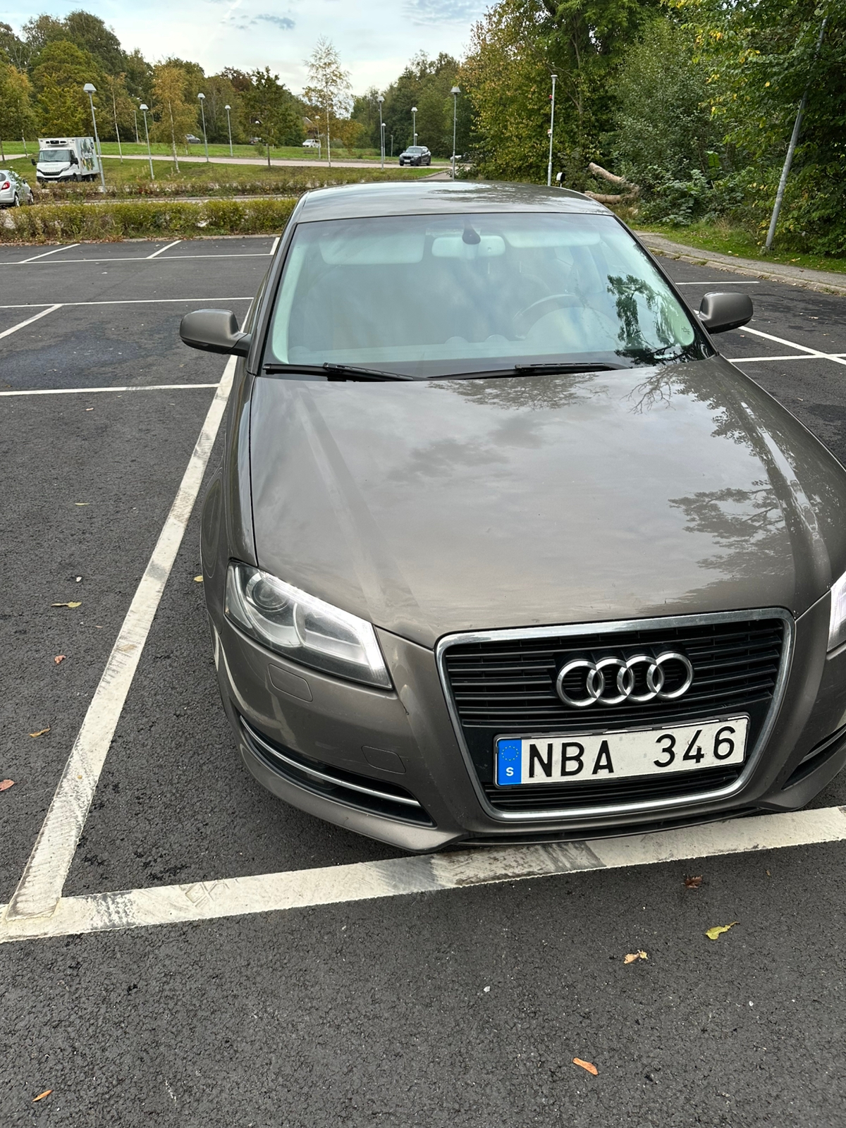 Audi A3 Sportback 1.6 TDI Manuell 2013, bild 8/8