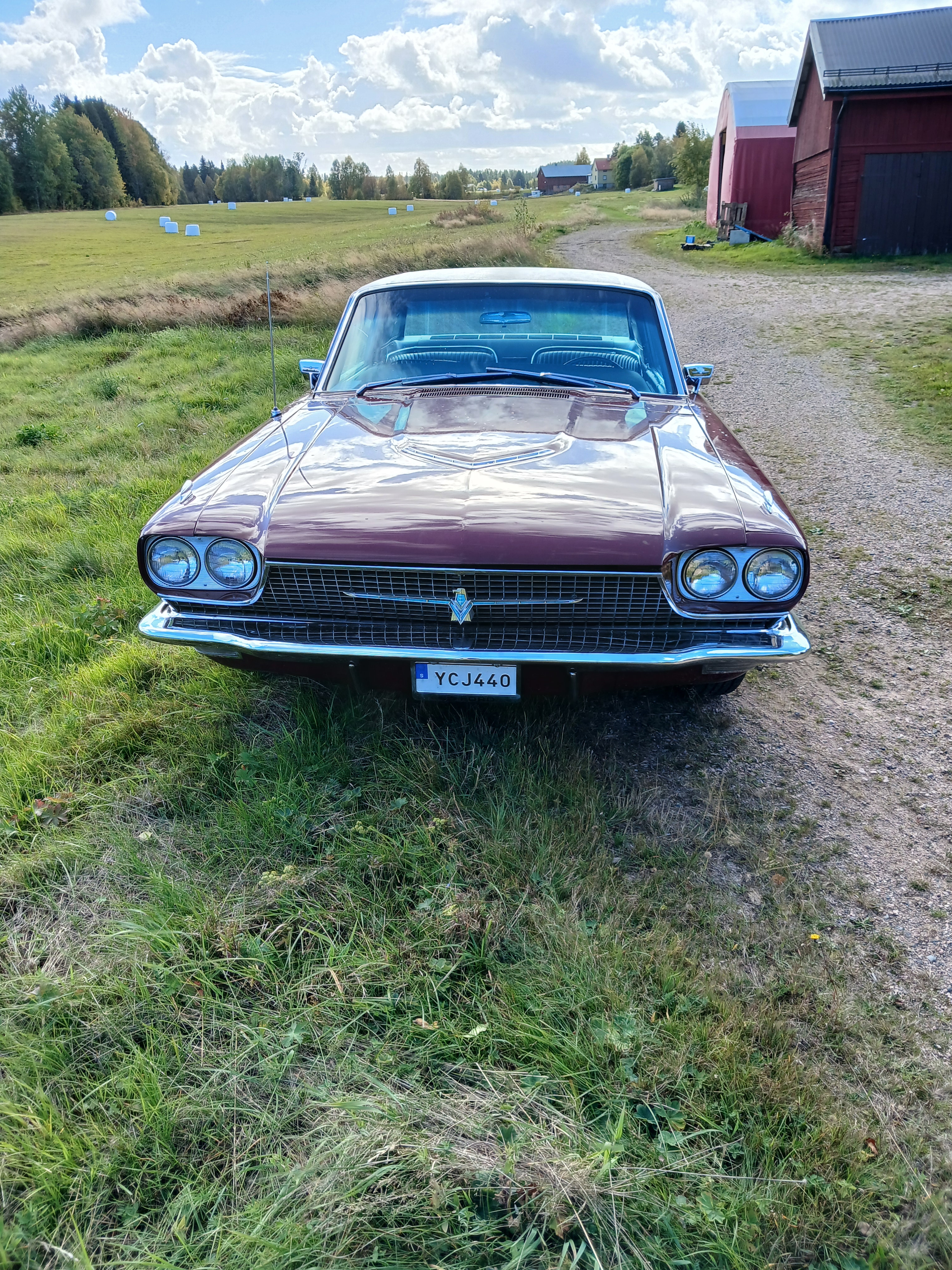 Ford Thunderbird Town Landau 6.4 V8 1966, bild 2/4