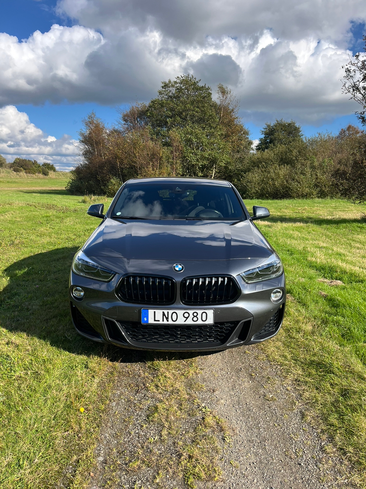 BMW X2 xDrive20d Steptronic 2019, bild 4/10