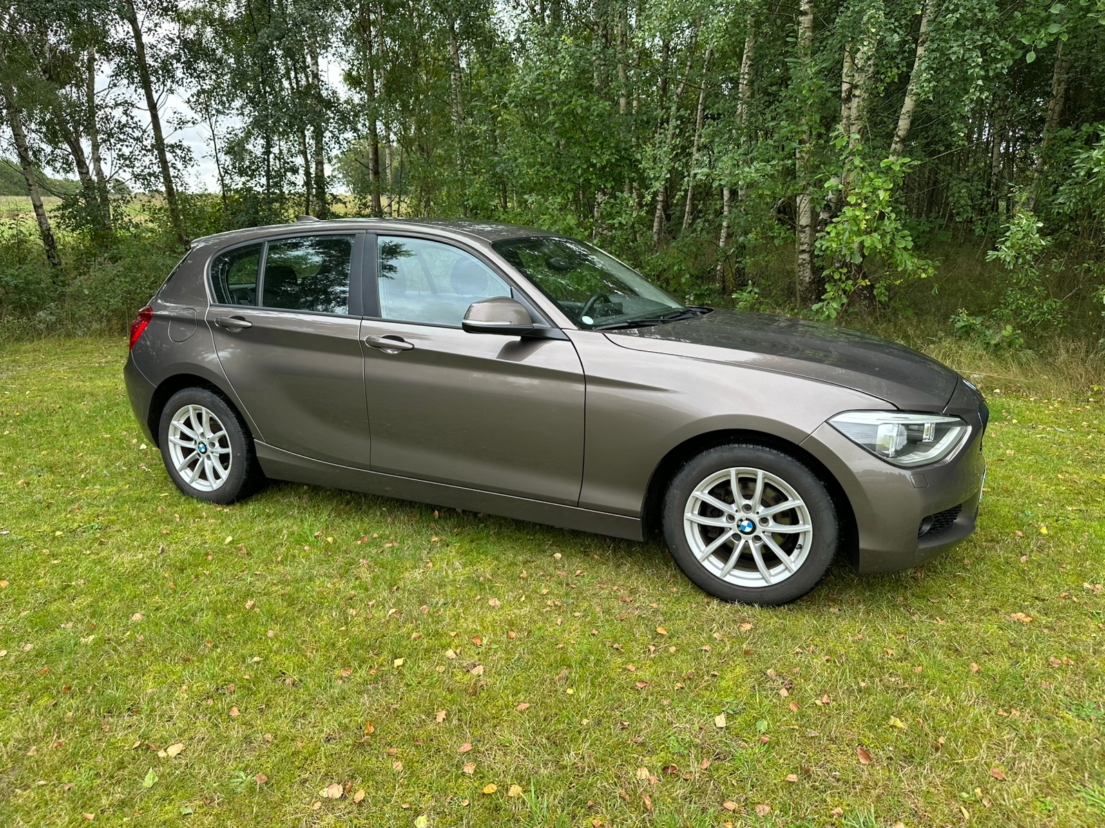 BMW 116 i 5-dörrars Manuell 2014, bild 2/6