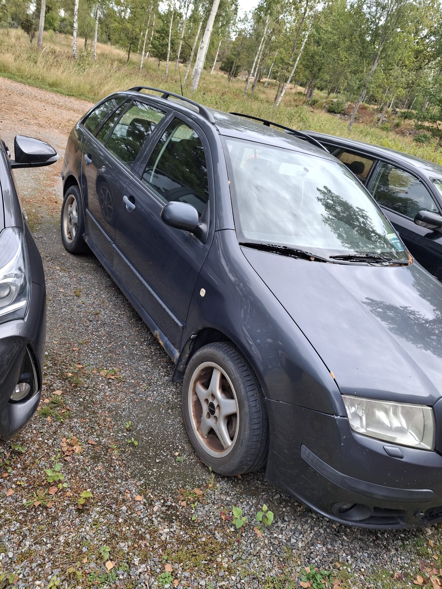 Skoda Fabia Kombi 1.9 TDI Manuell 2007, bild 2/4