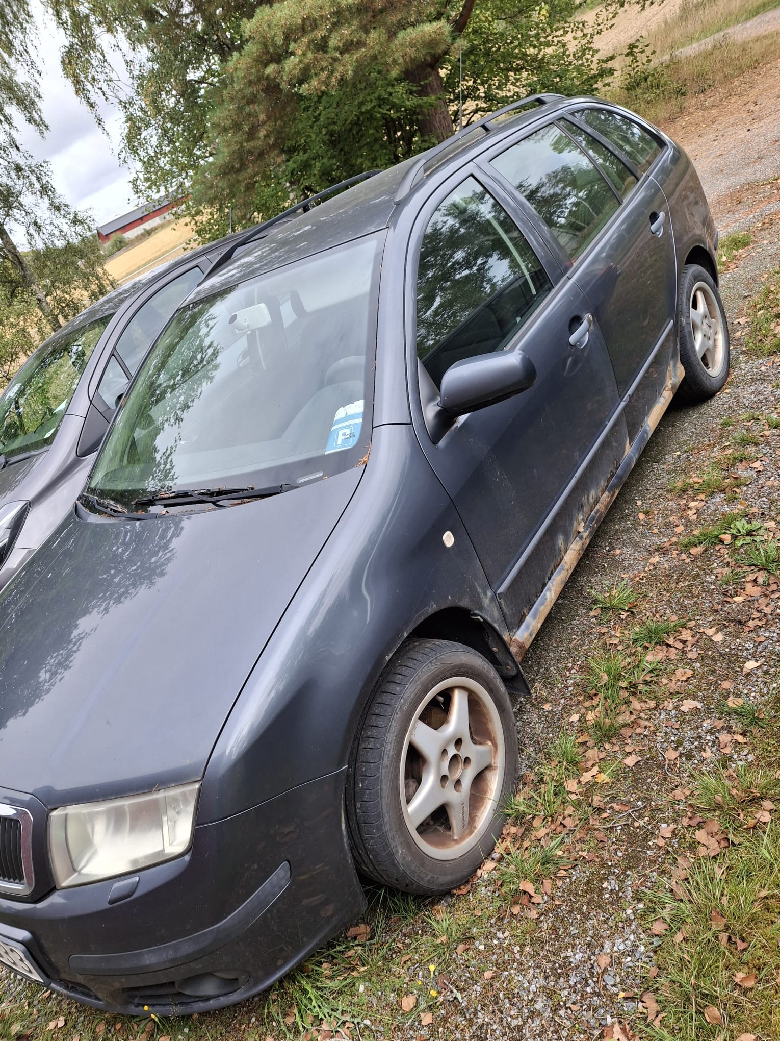 Skoda Fabia Kombi 1.9 TDI Manuell 2007, bild 3/4