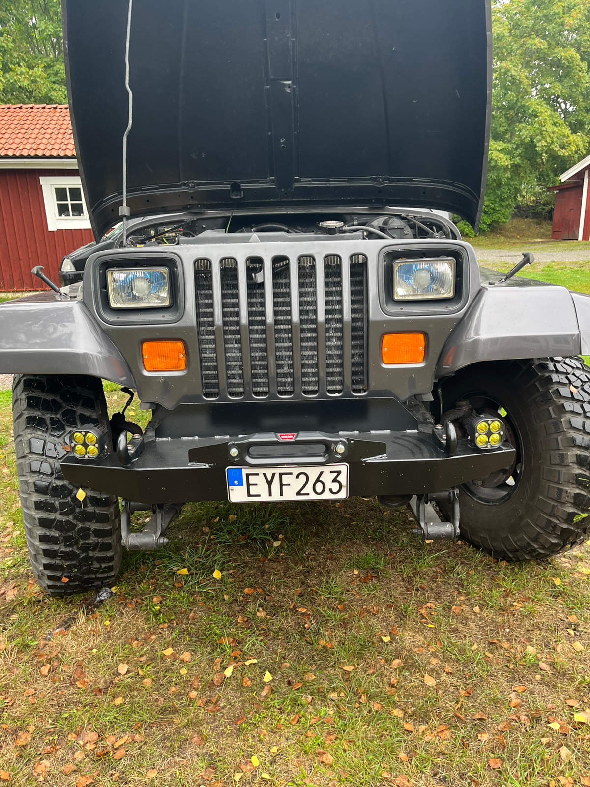 Jeep Wrangler 4.0 4WD Manuell 1991, bild 4/9