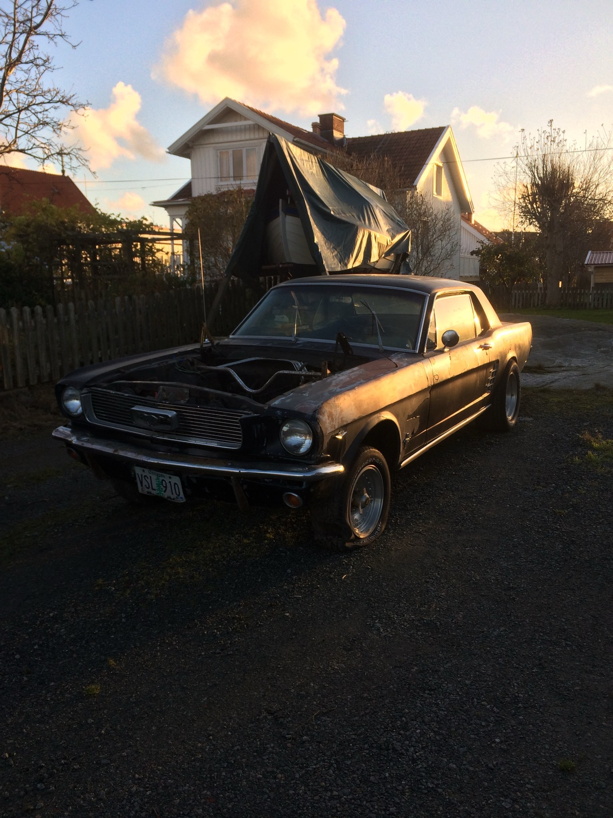 Ford Mustang