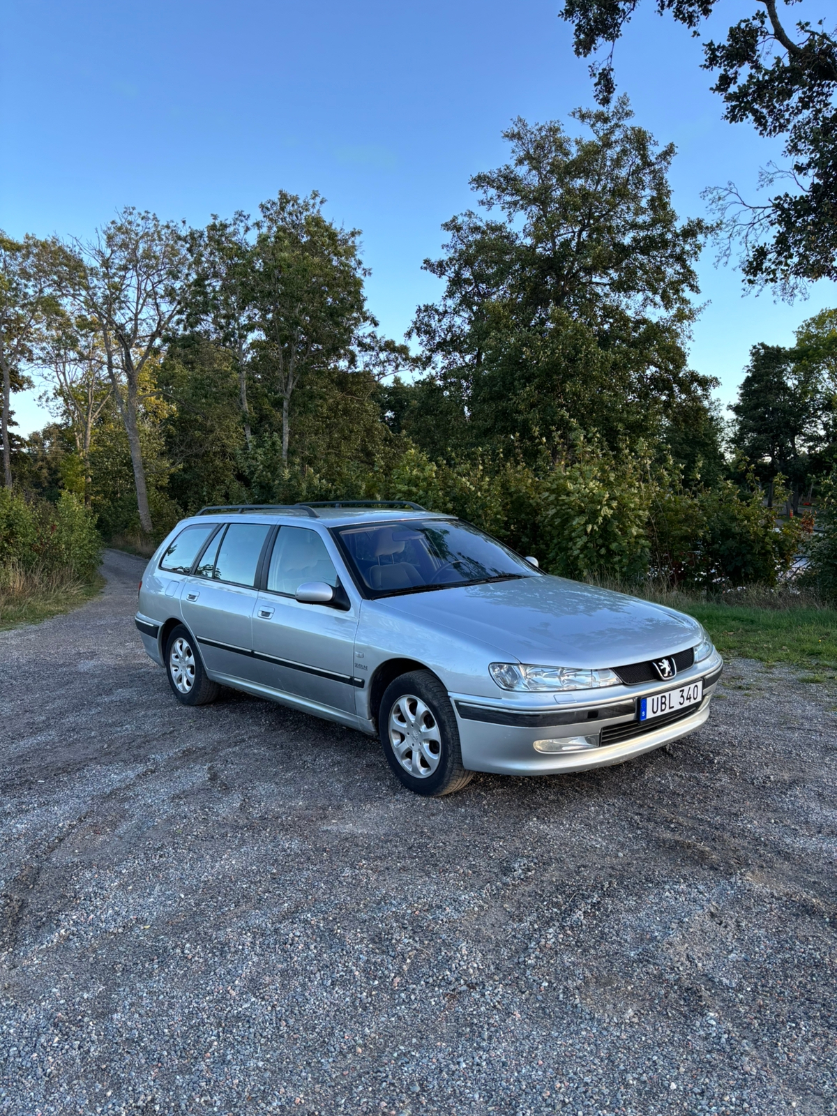 Peugeot 406 Break 2.0 Automatisk 2003, bild 5/8